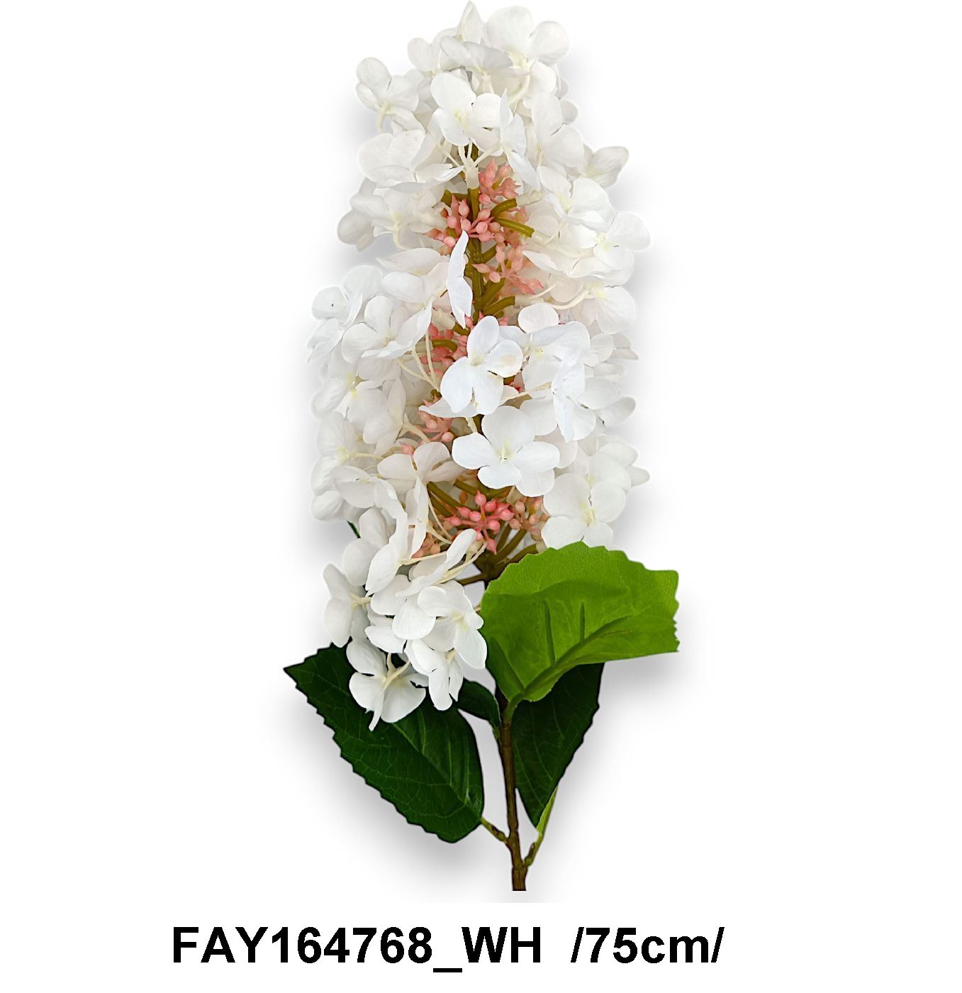 FAY164768_WH