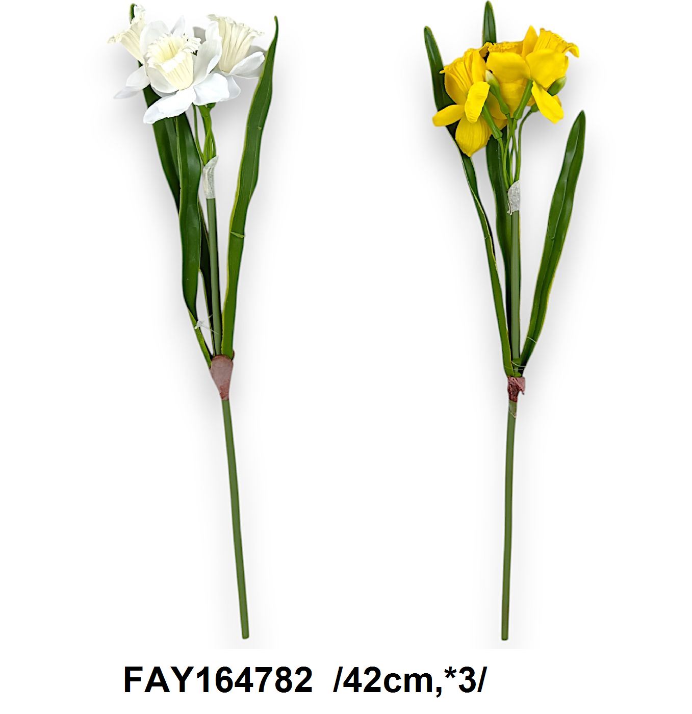 FAY164782