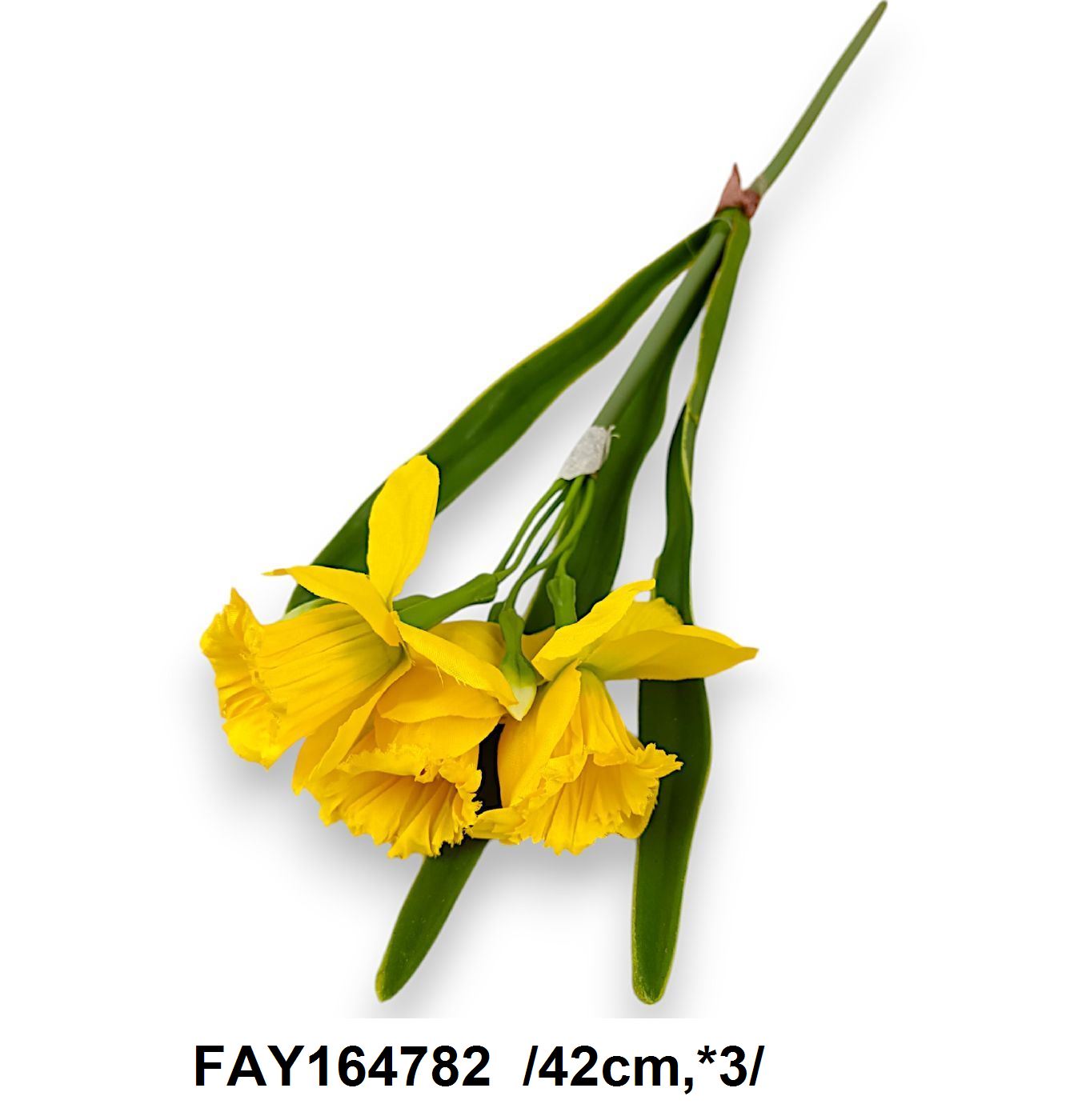 FAY164782