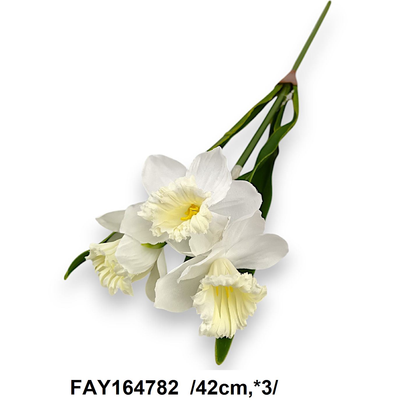 FAY164782