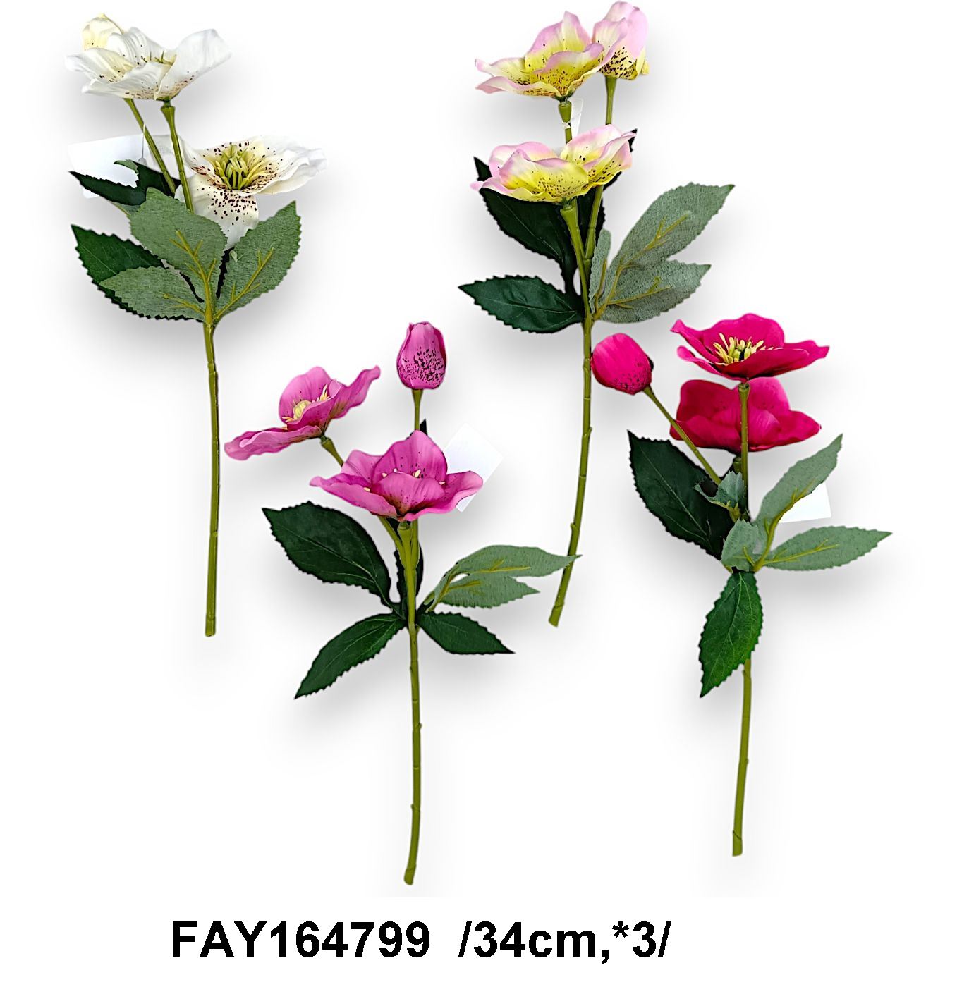 FAY164799