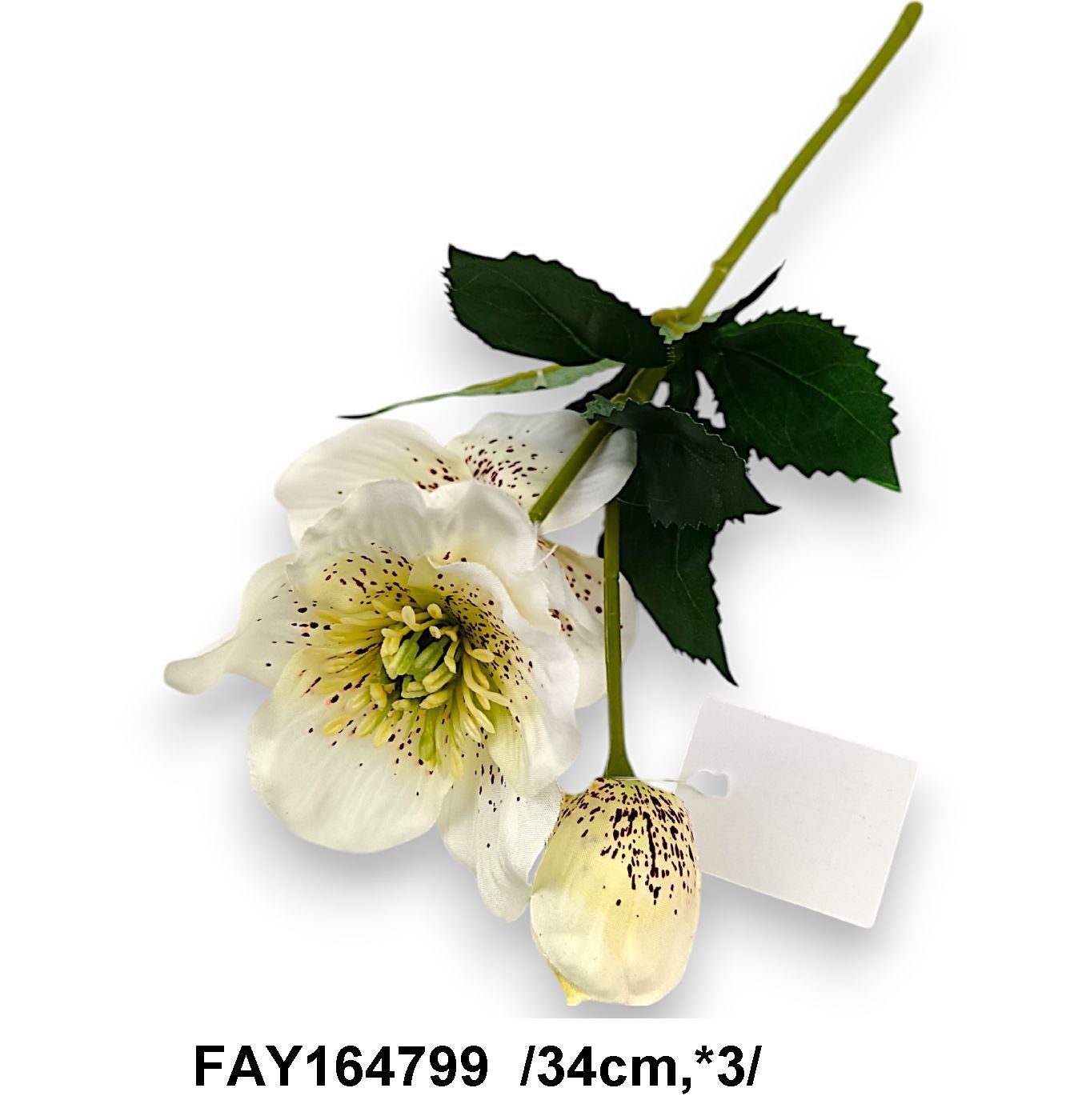 FAY164799