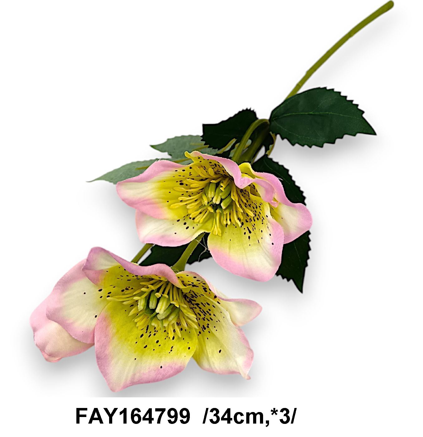 FAY164799