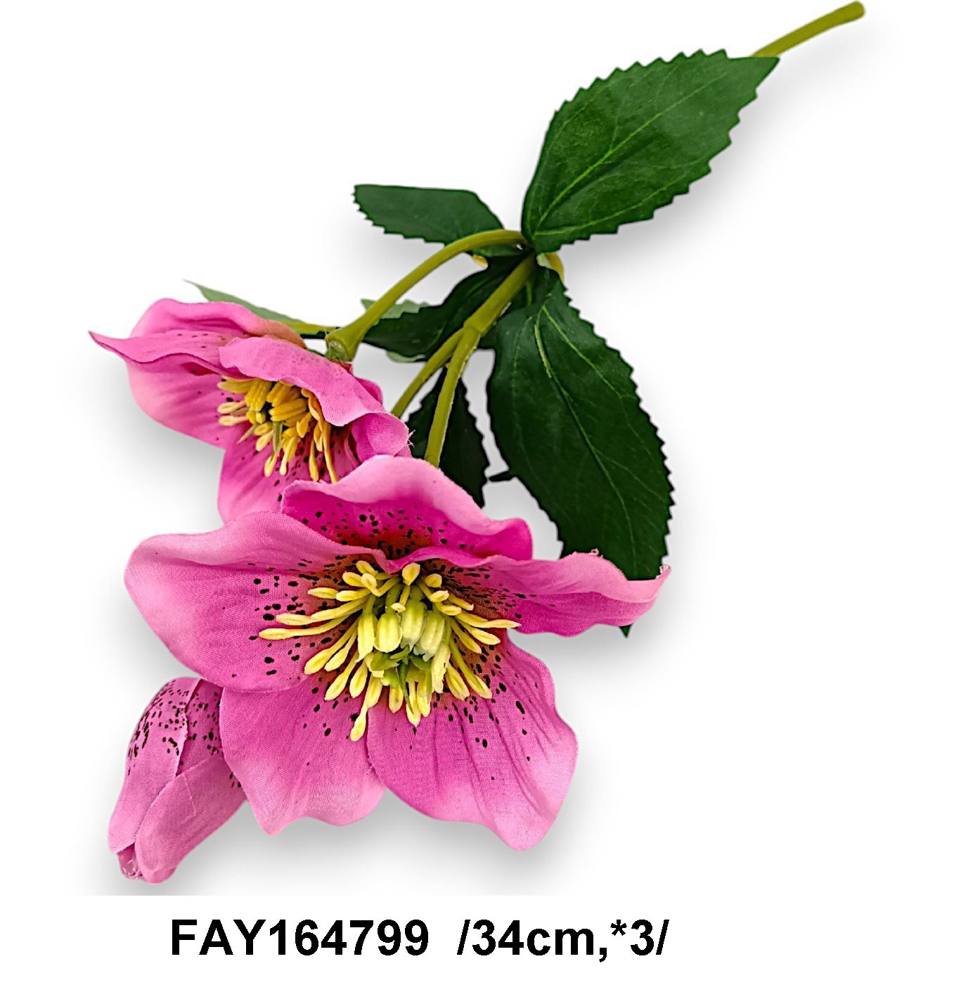 FAY164799