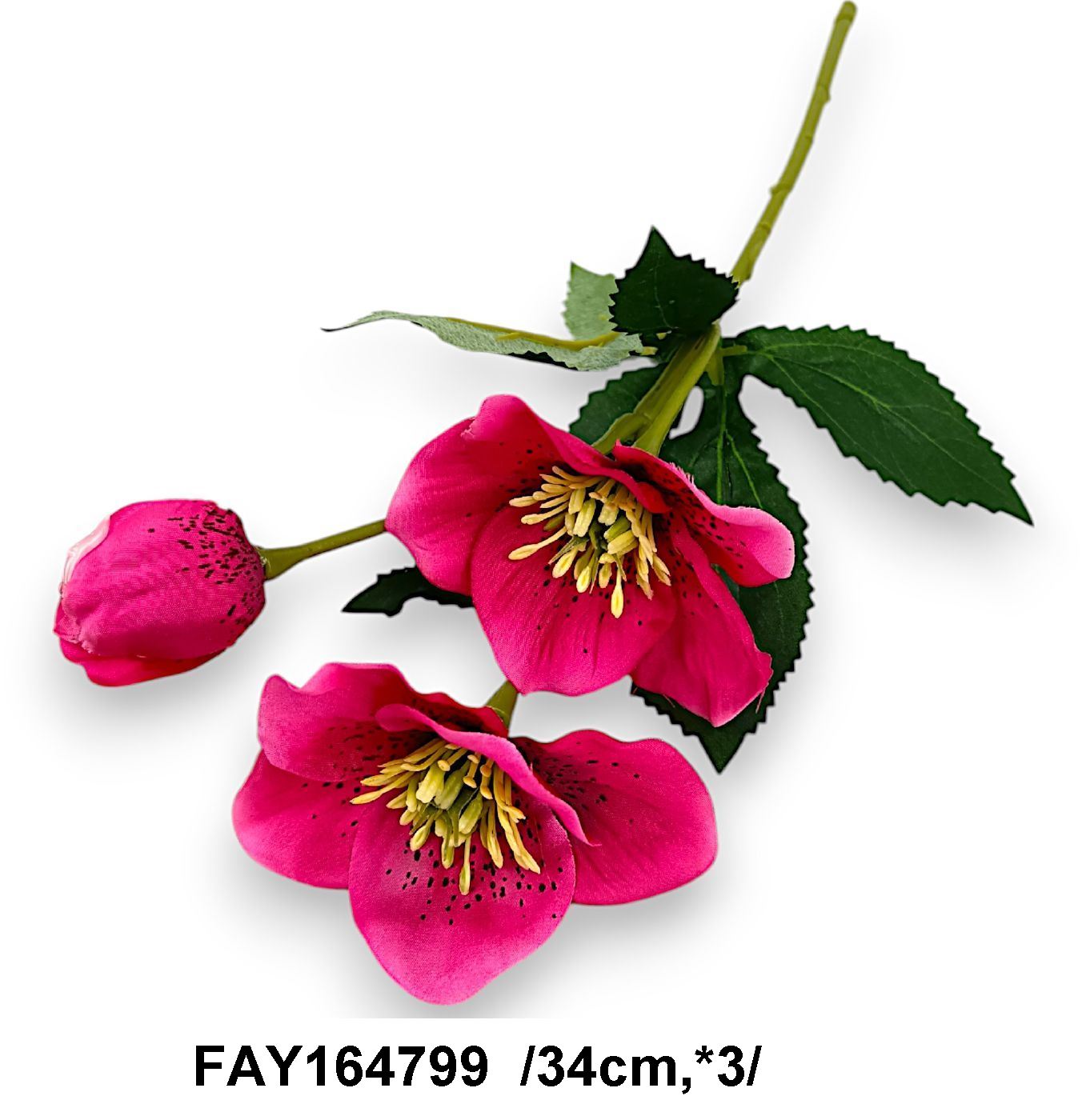 FAY164799