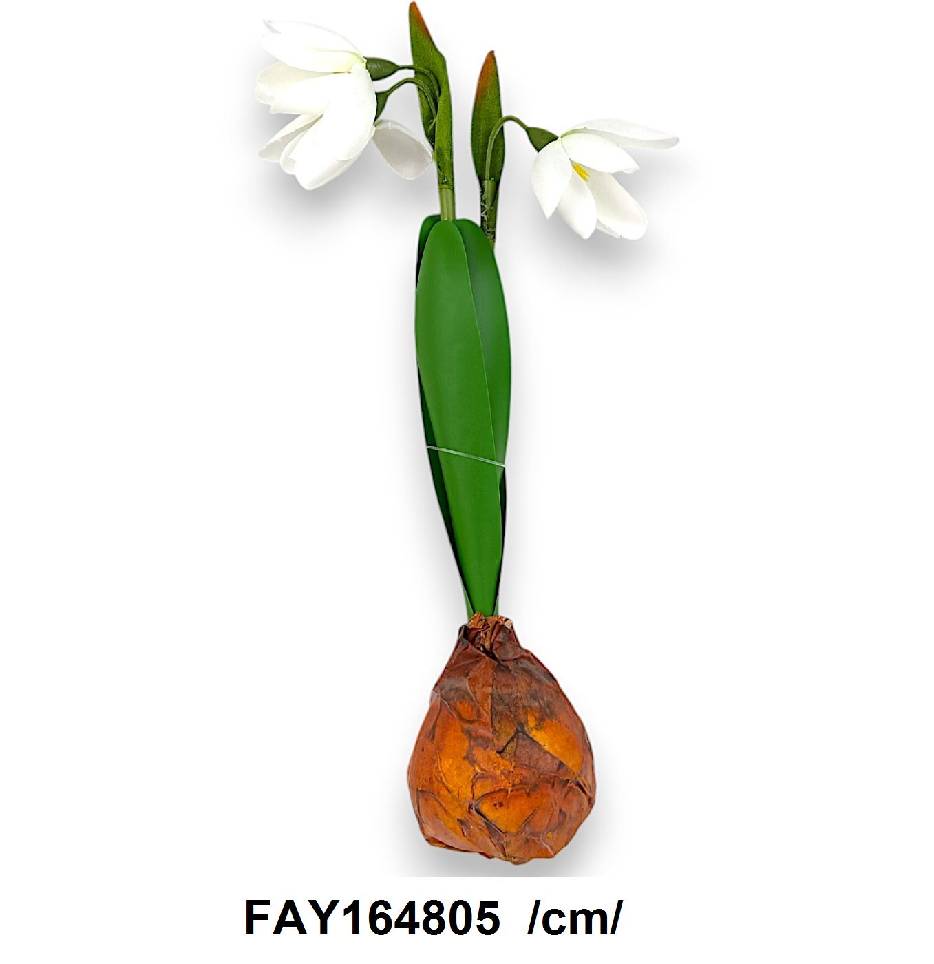 FAY164805