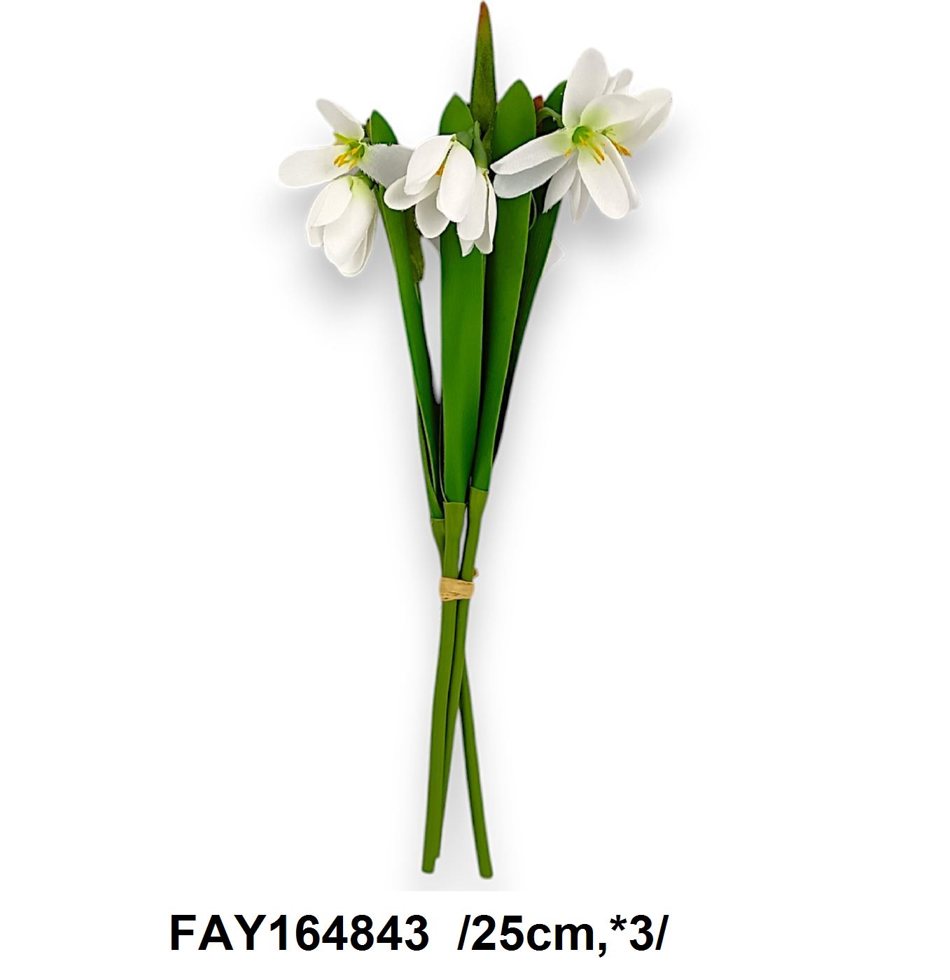 FAY164843