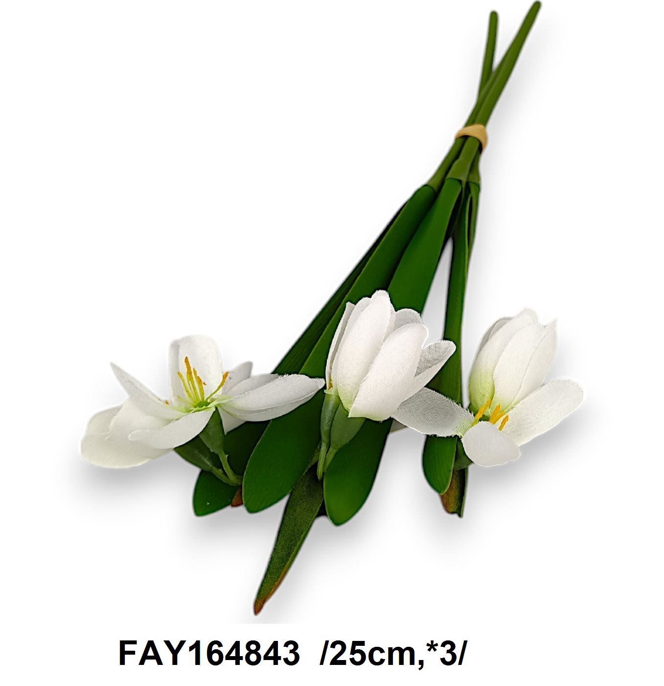 FAY164843