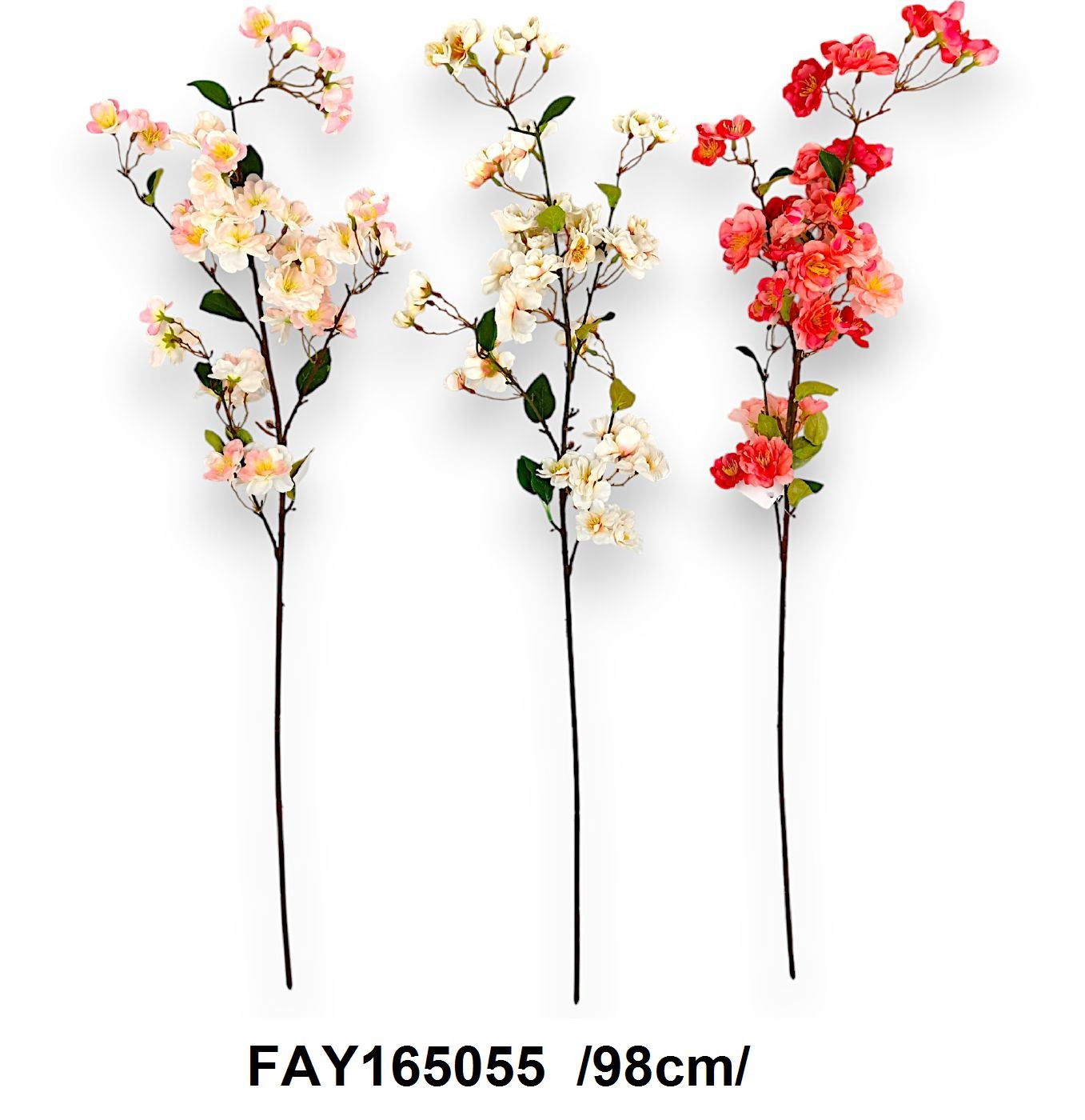 FAY165055
