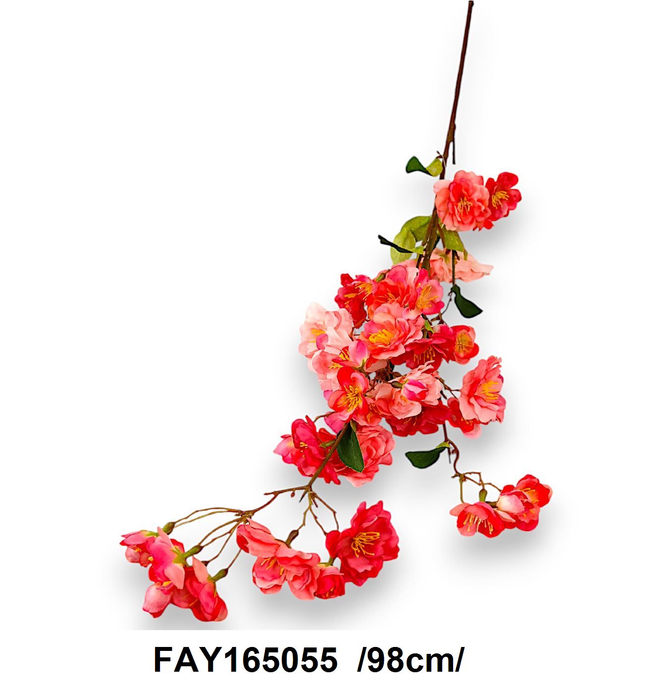 FAY165055