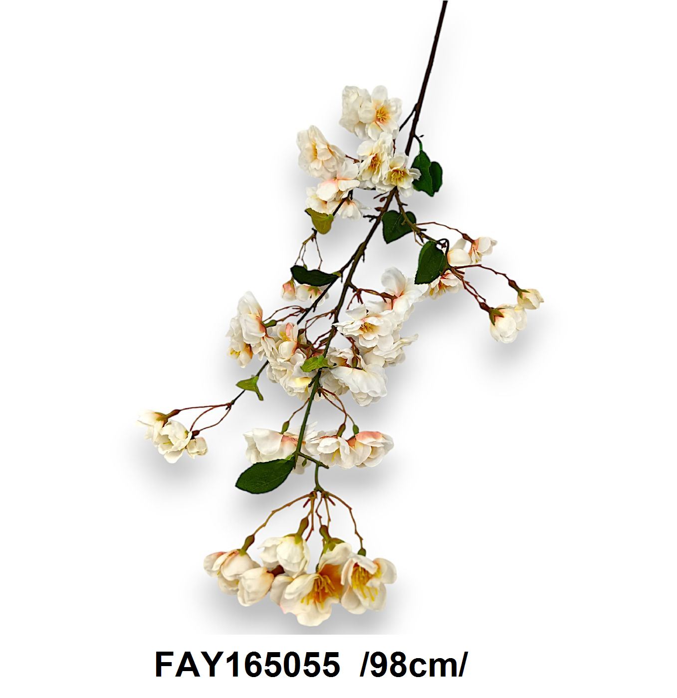 FAY165055
