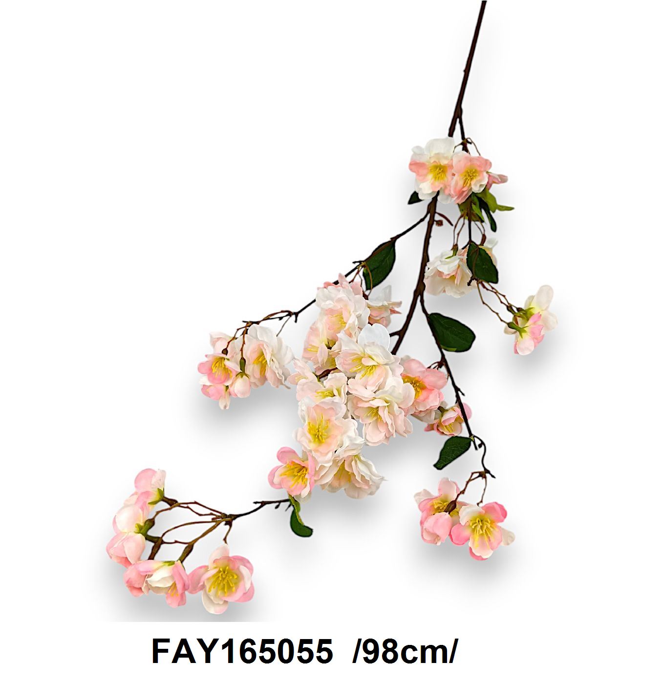 FAY165055