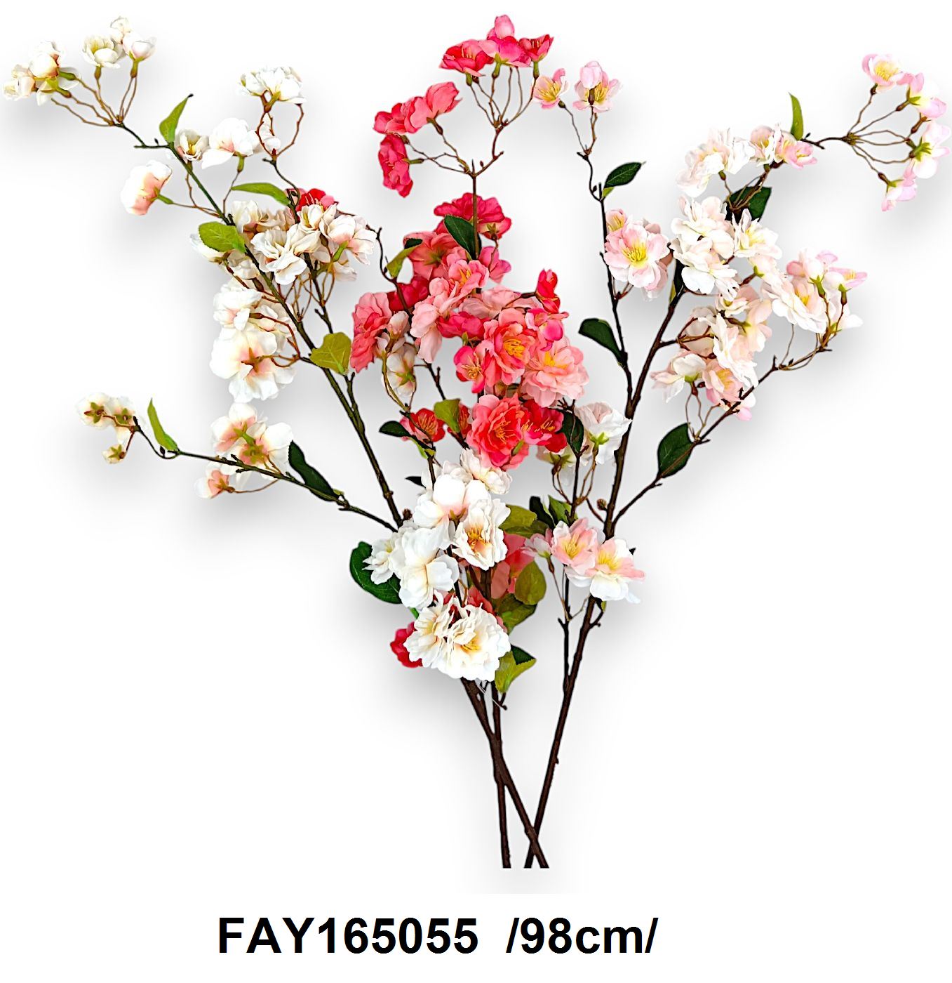 FAY165055