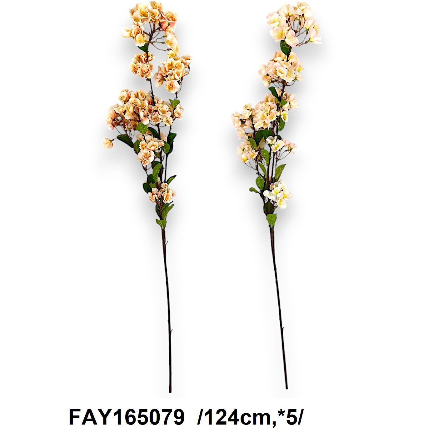 FAY165079