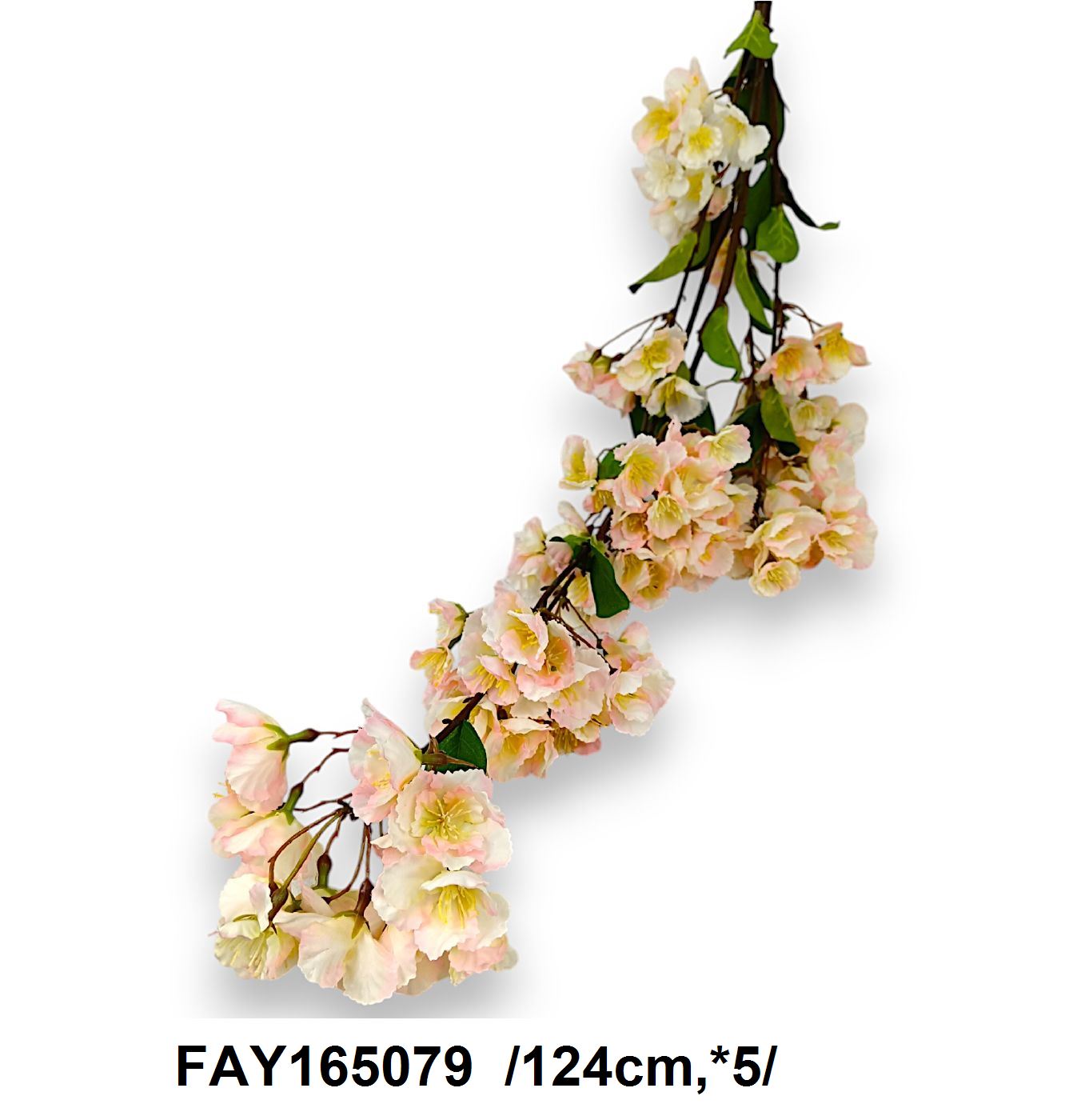 FAY165079