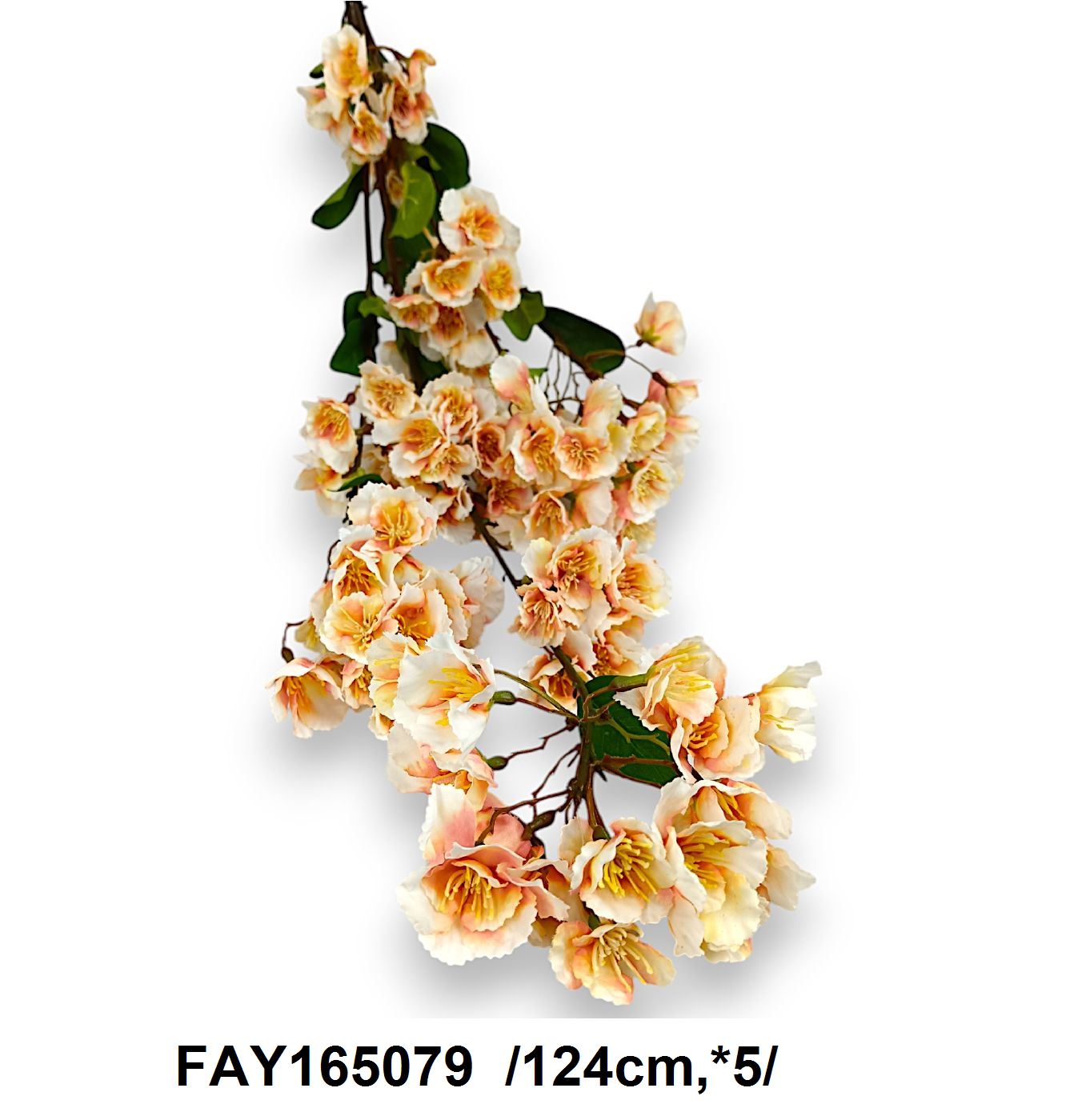 FAY165079