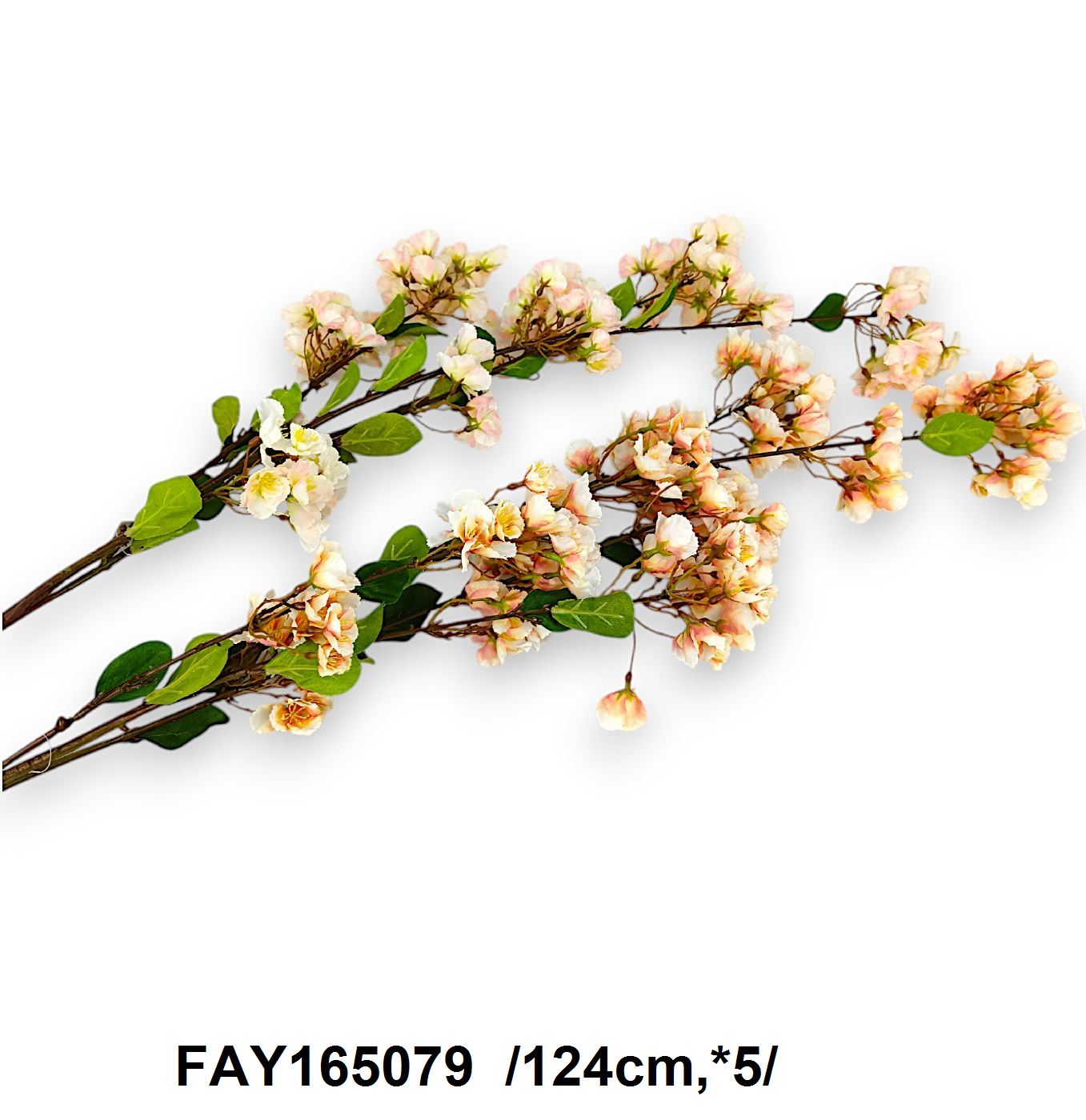 FAY165079