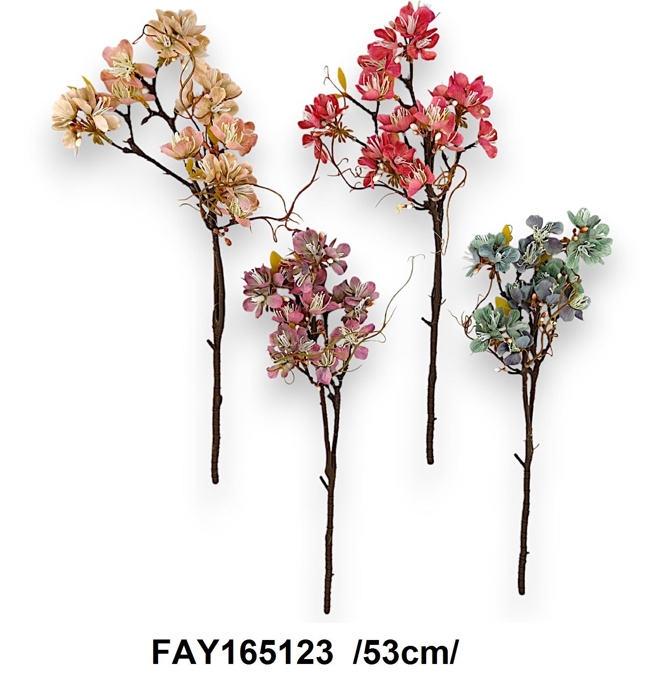FAY165123