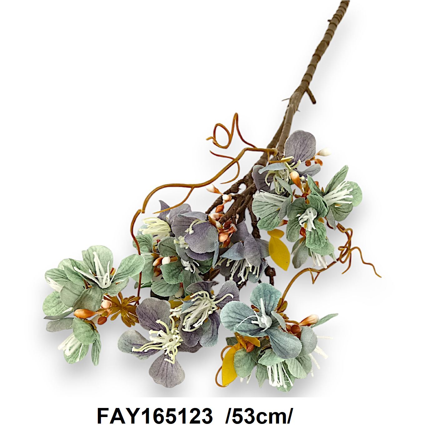 FAY165123