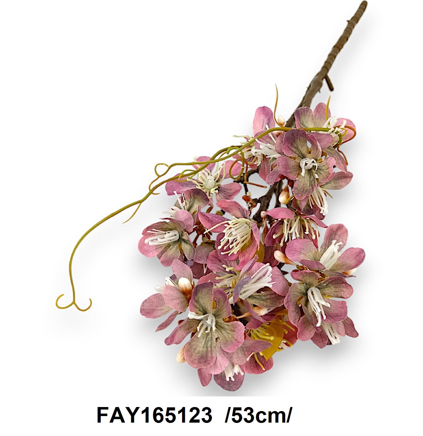 FAY165123
