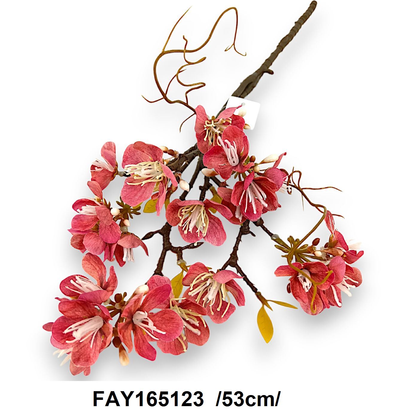 FAY165123