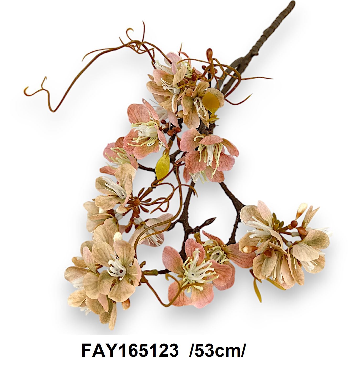 FAY165123