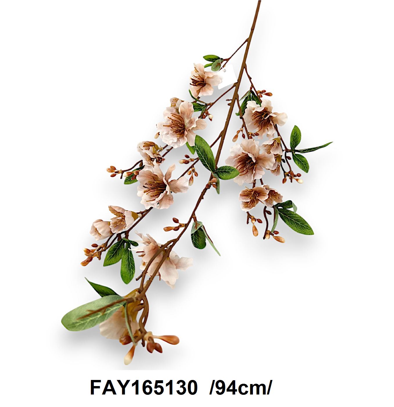 FAY165130
