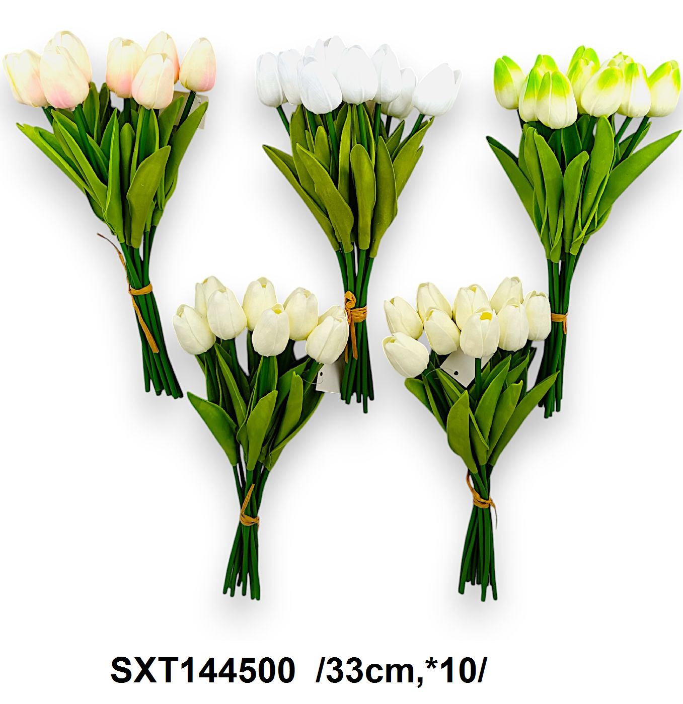 SXT144500