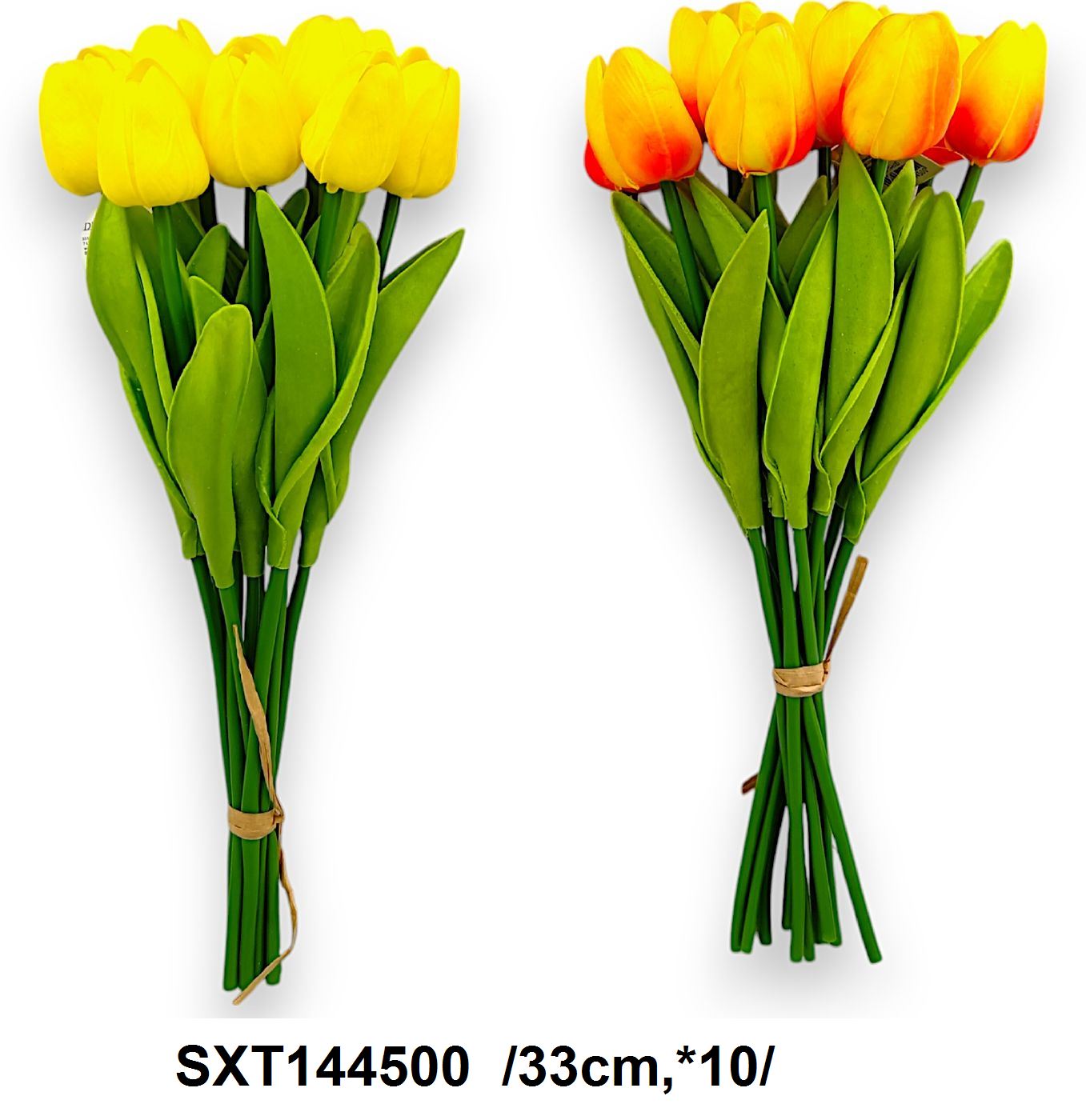SXT144500