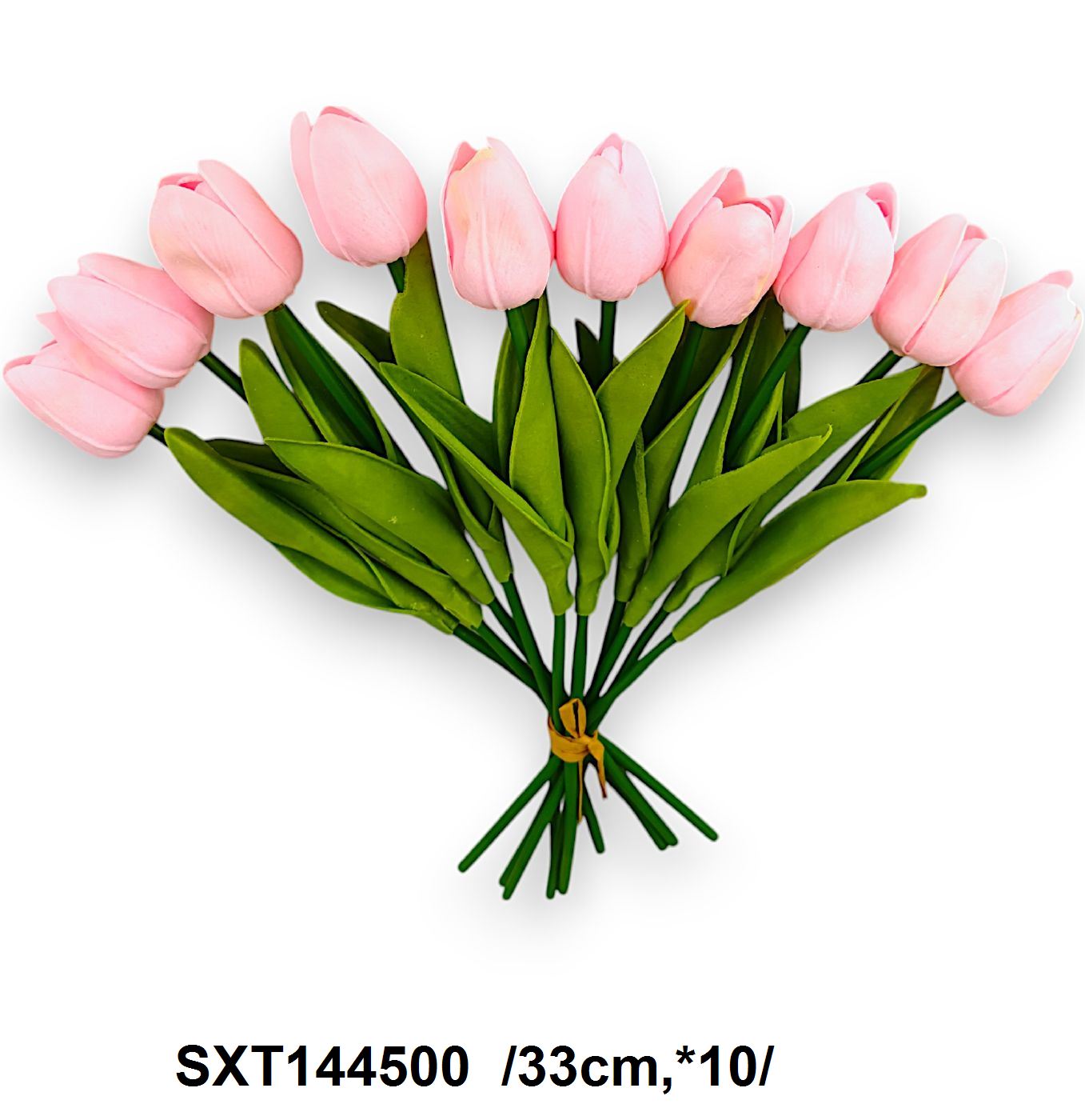 SXT144500