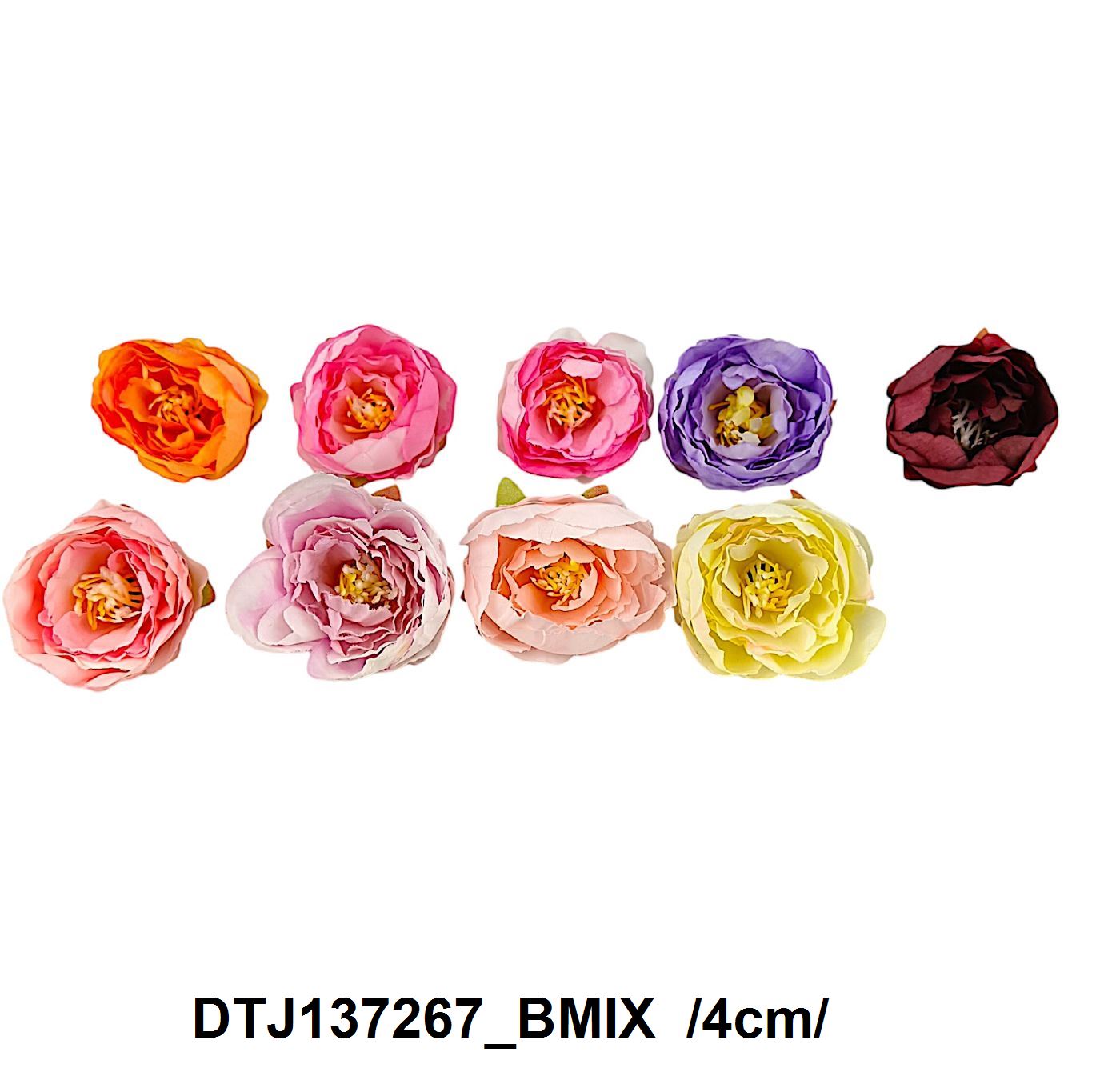 DTJ137267_BMIX