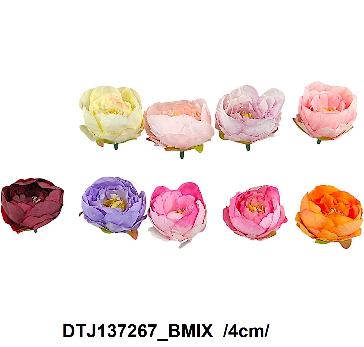 DTJ137267_BMIX