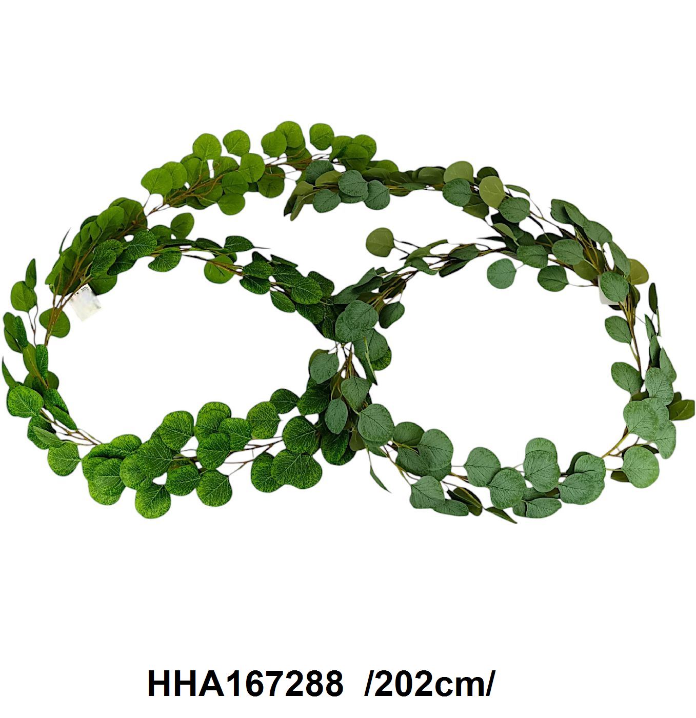 HHA167288