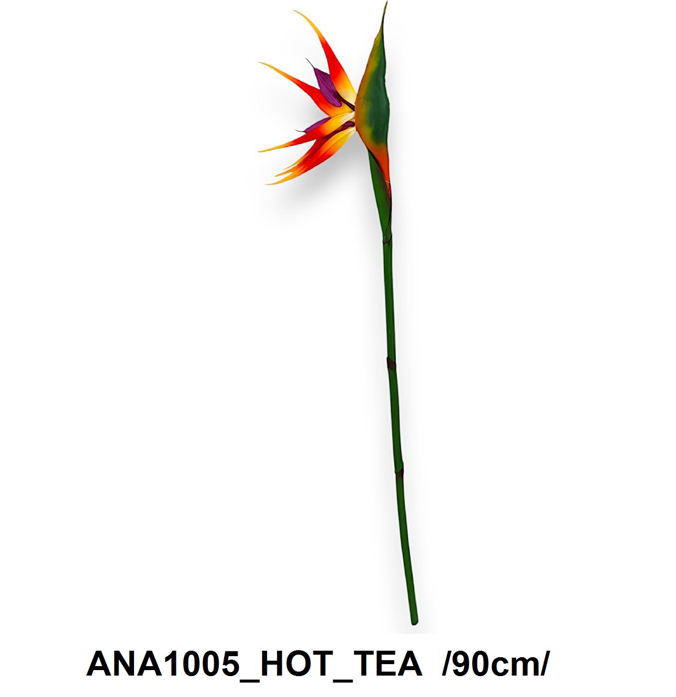 ANA1005_HOT_TEA