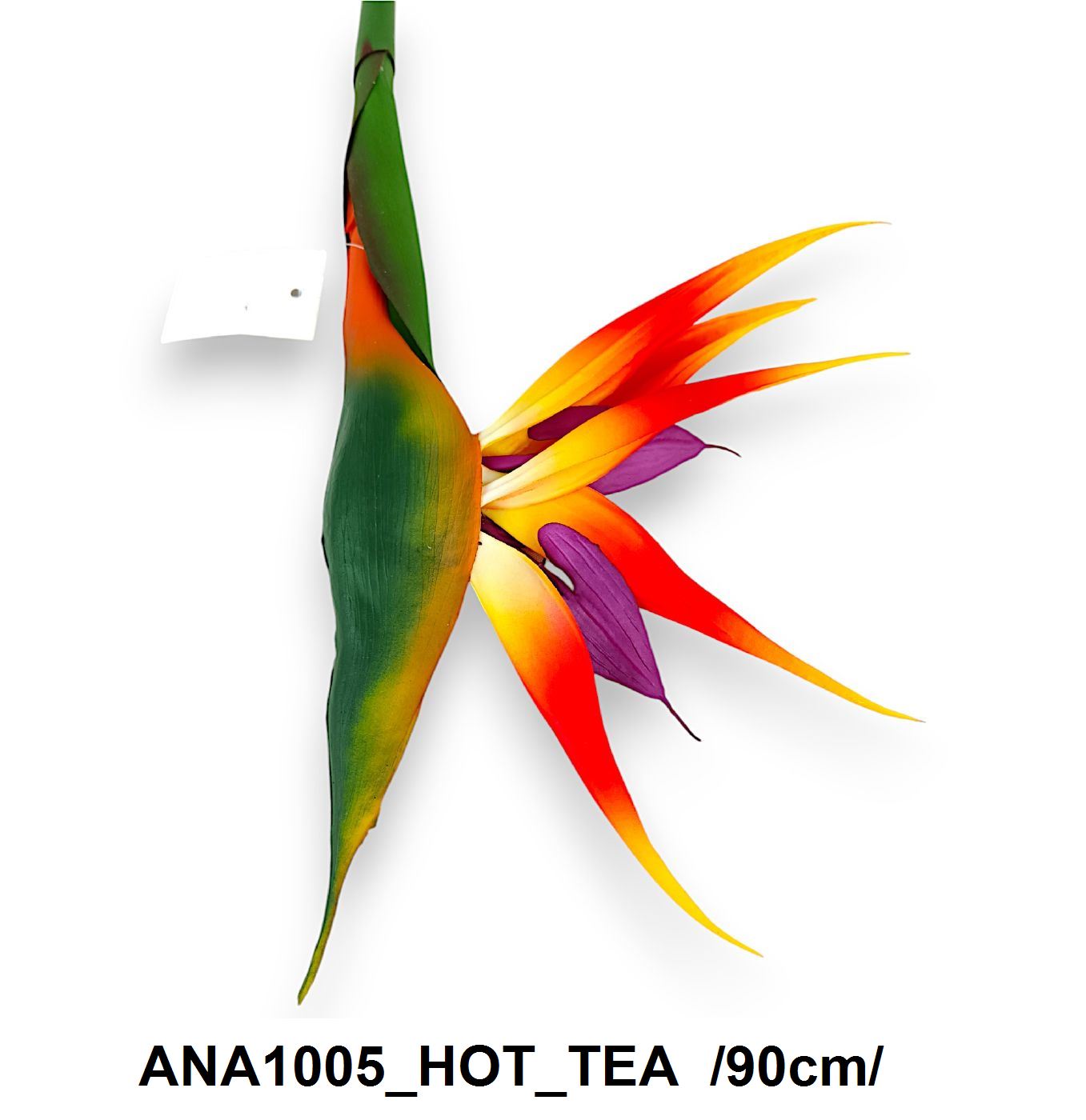 ANA1005_HOT_TEA
