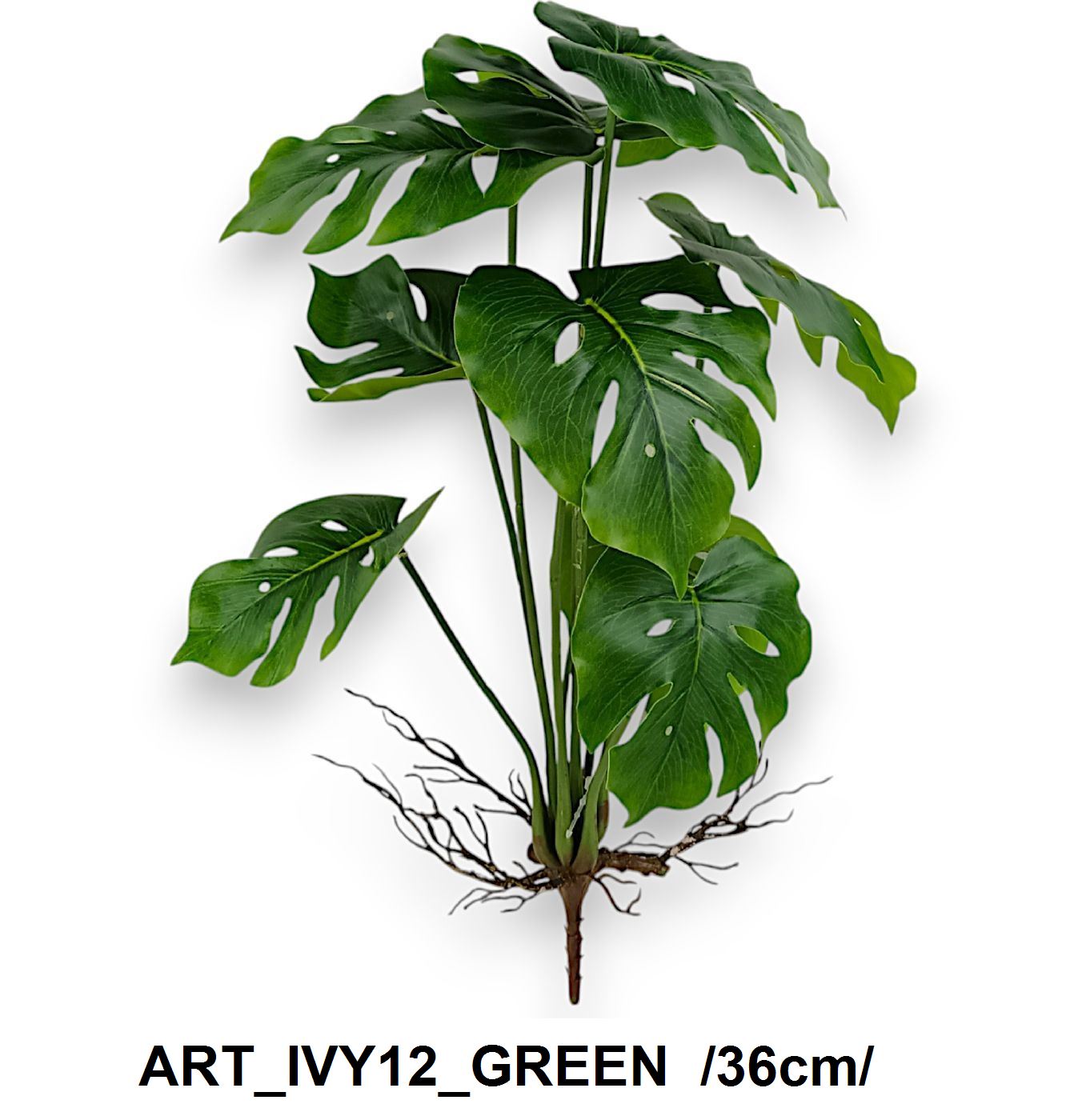 ART_IVY12_GREEN