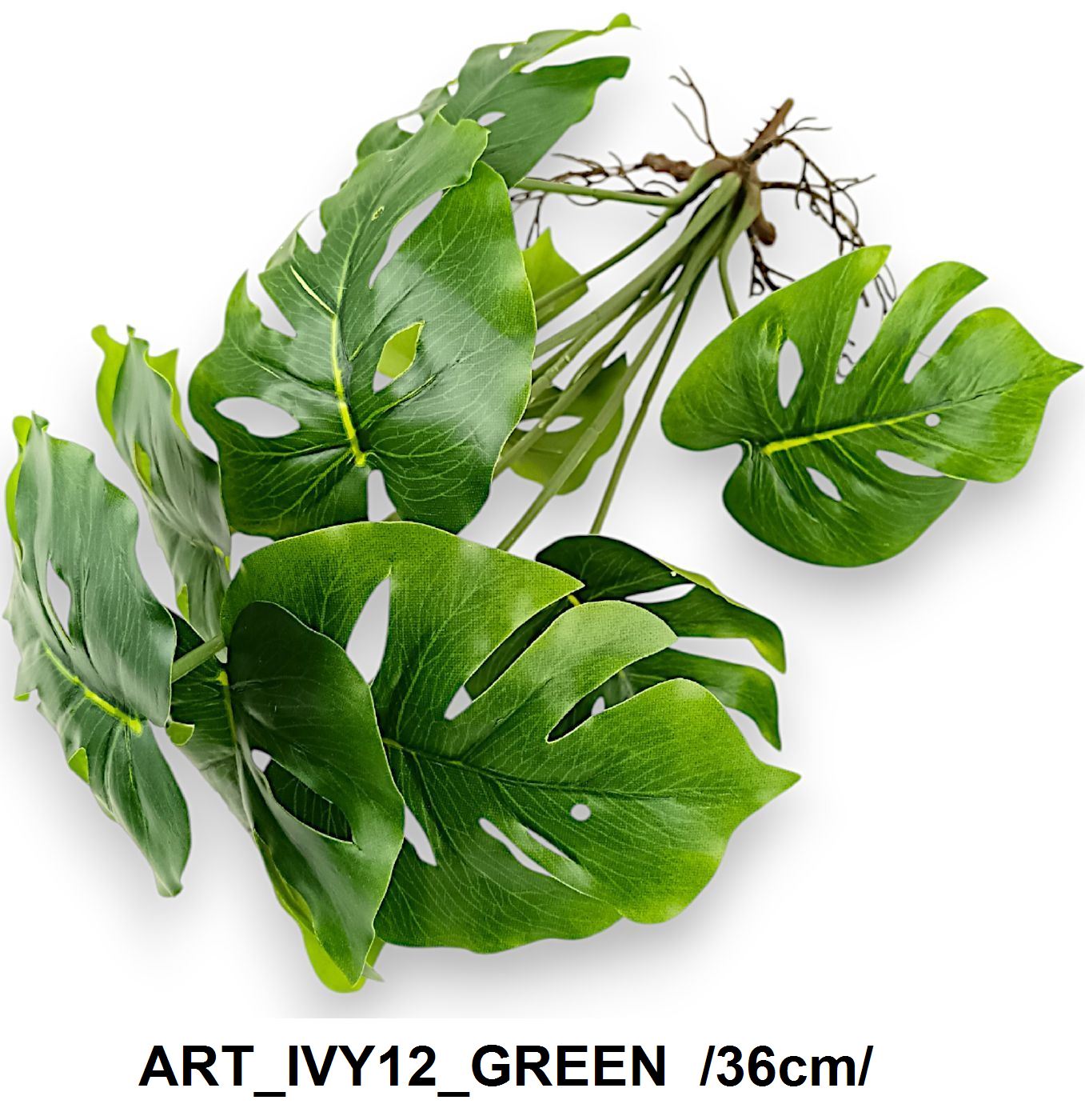 ART_IVY12_GREEN