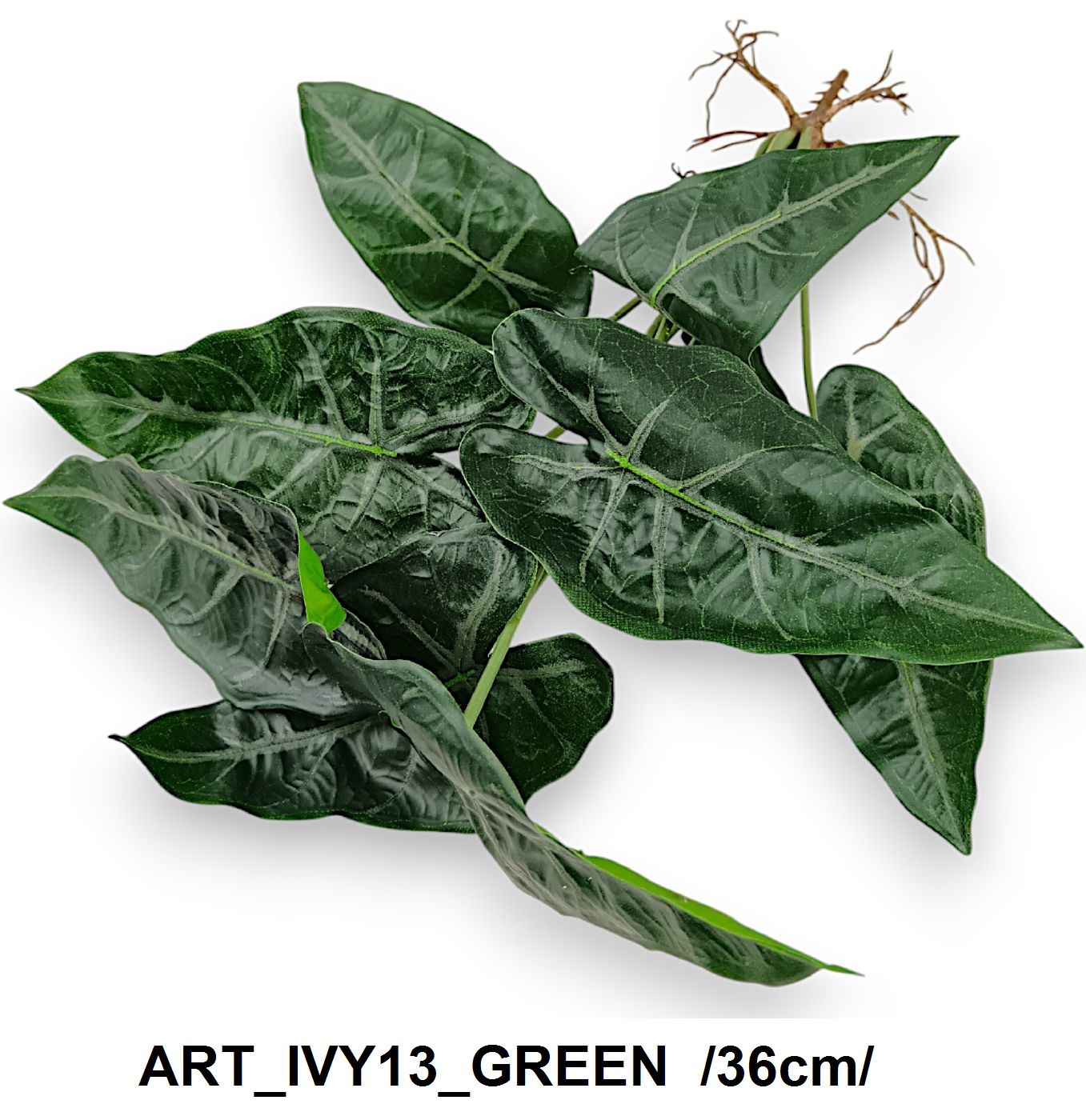 ART_IVY13_GREEN