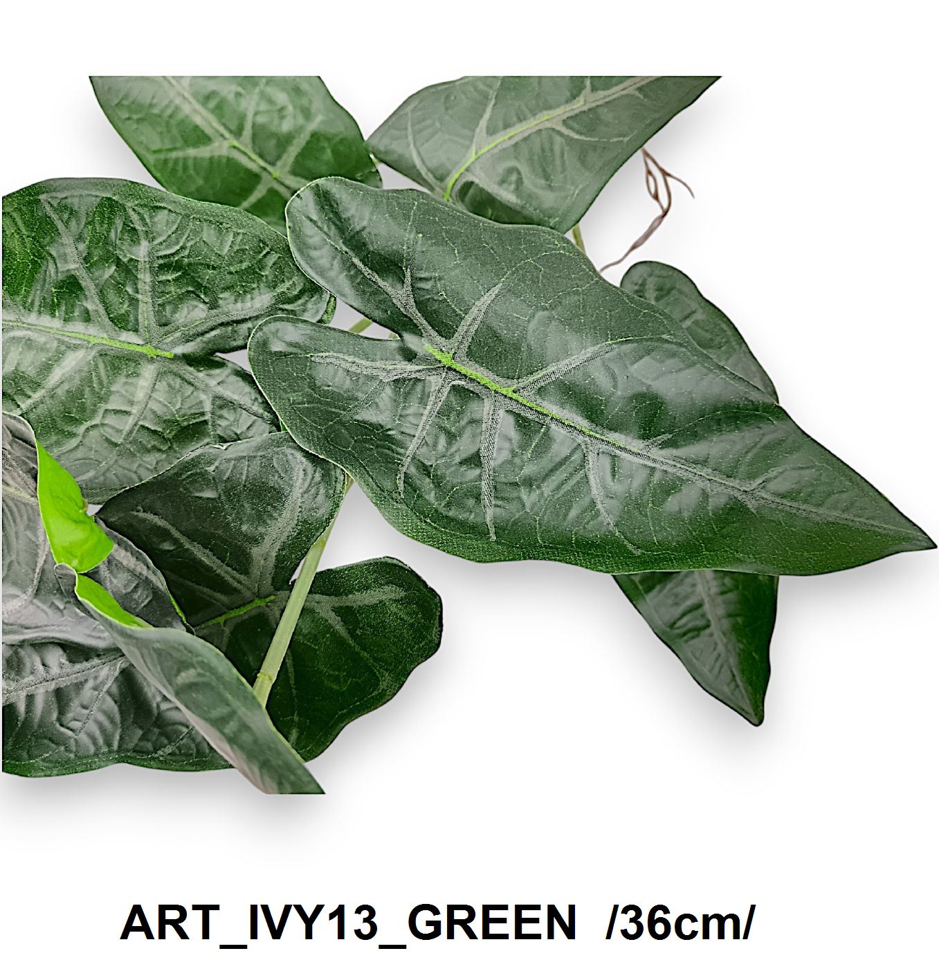 ART_IVY13_GREEN