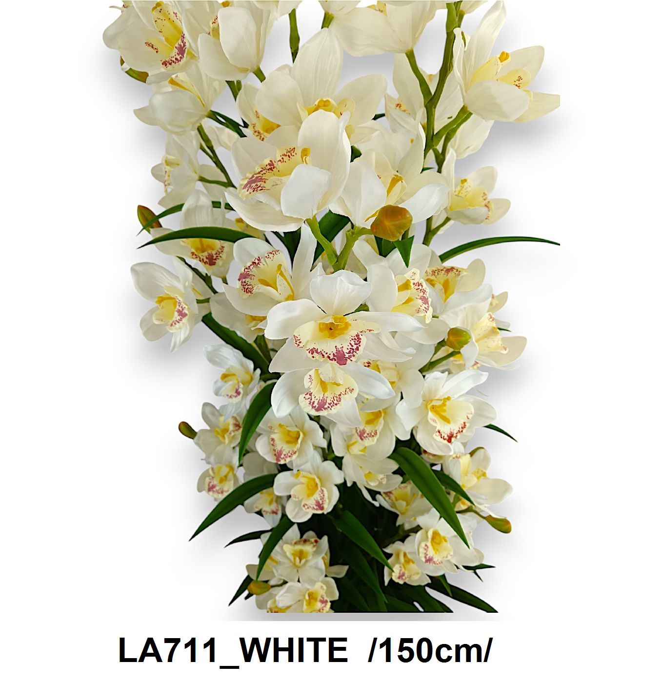 LA711_WHITE