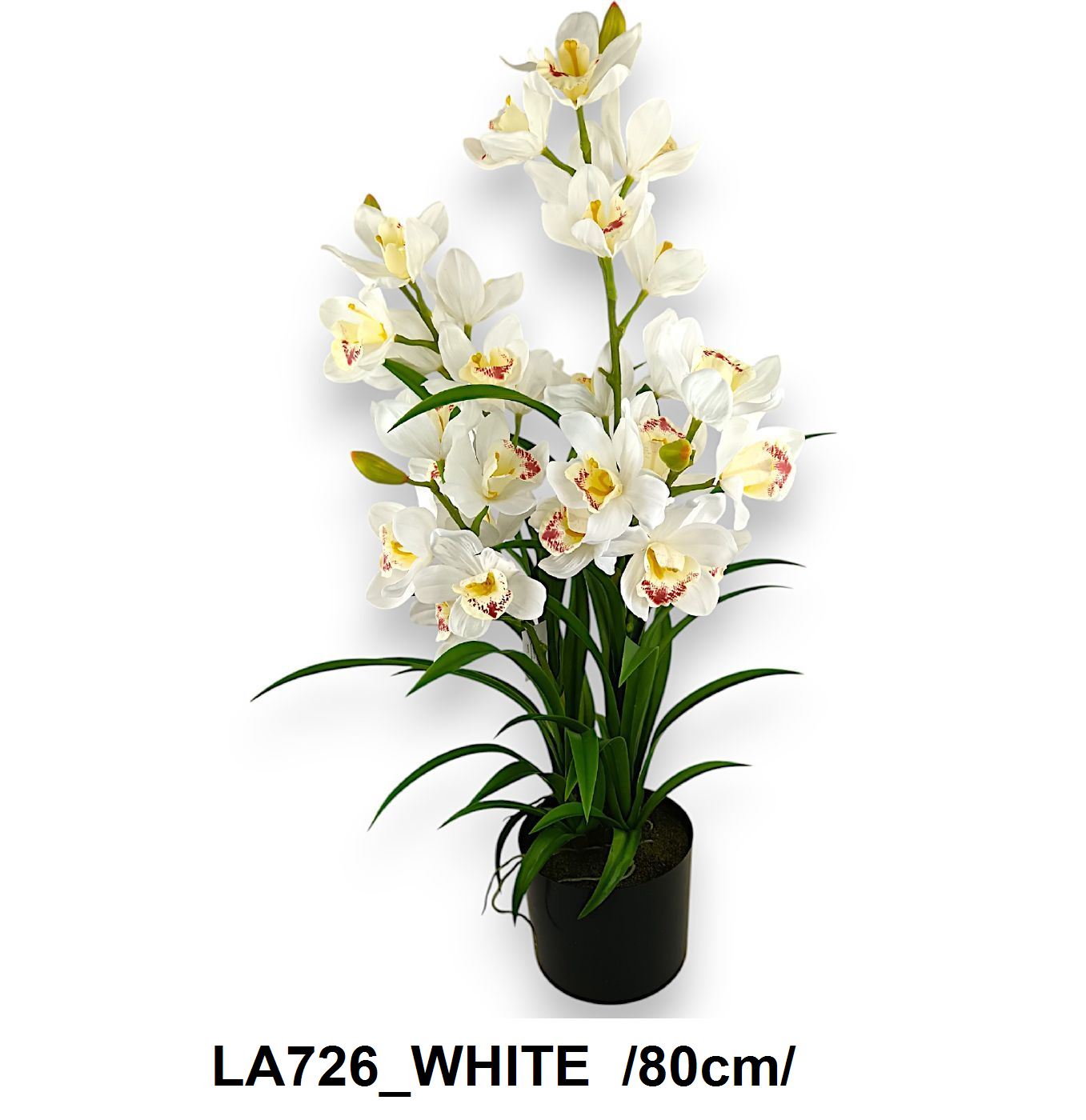 LA726_WHITE