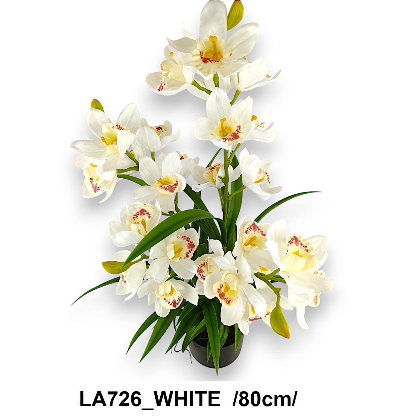 LA726_WHITE