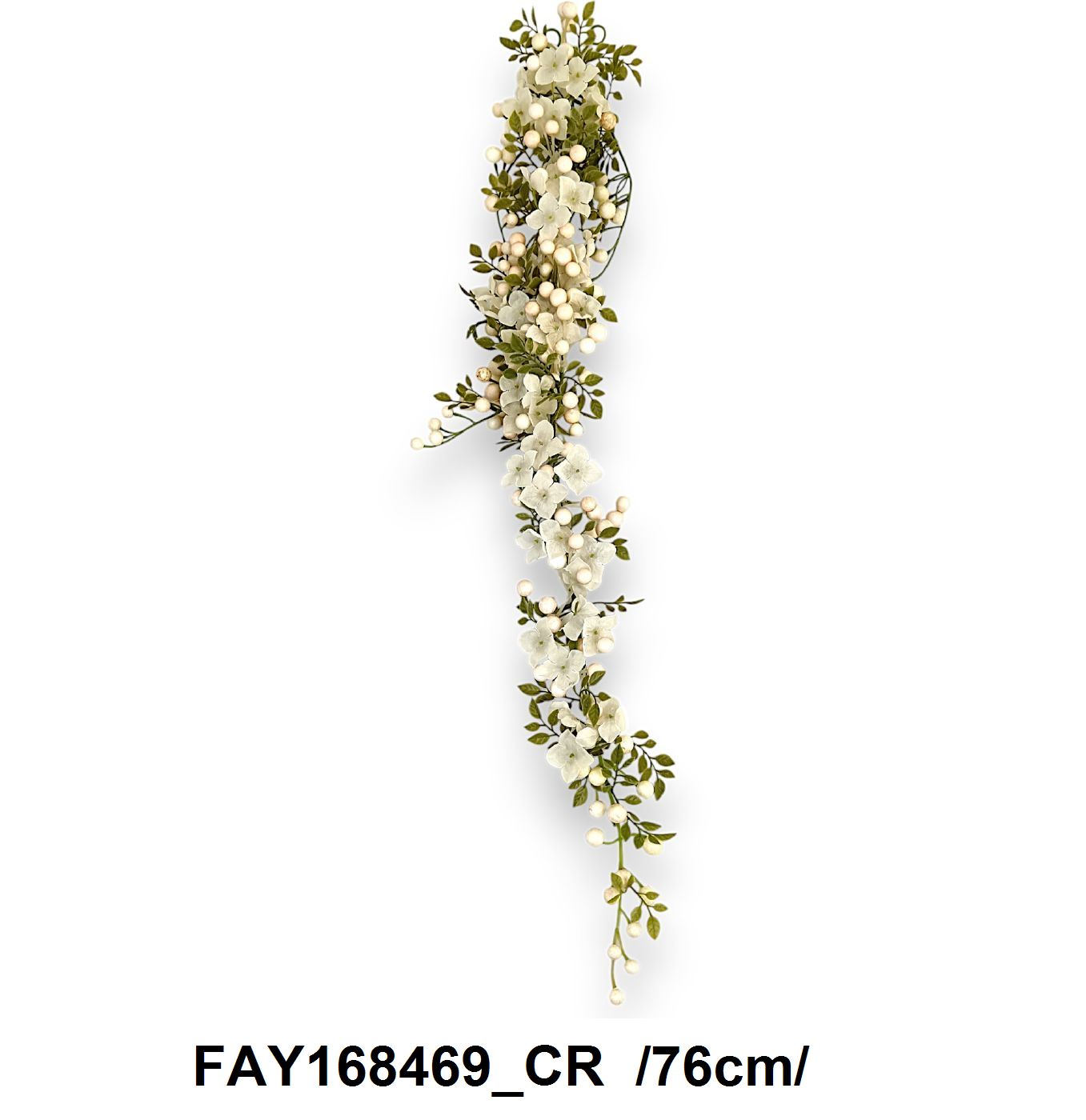 FAY168469_CR