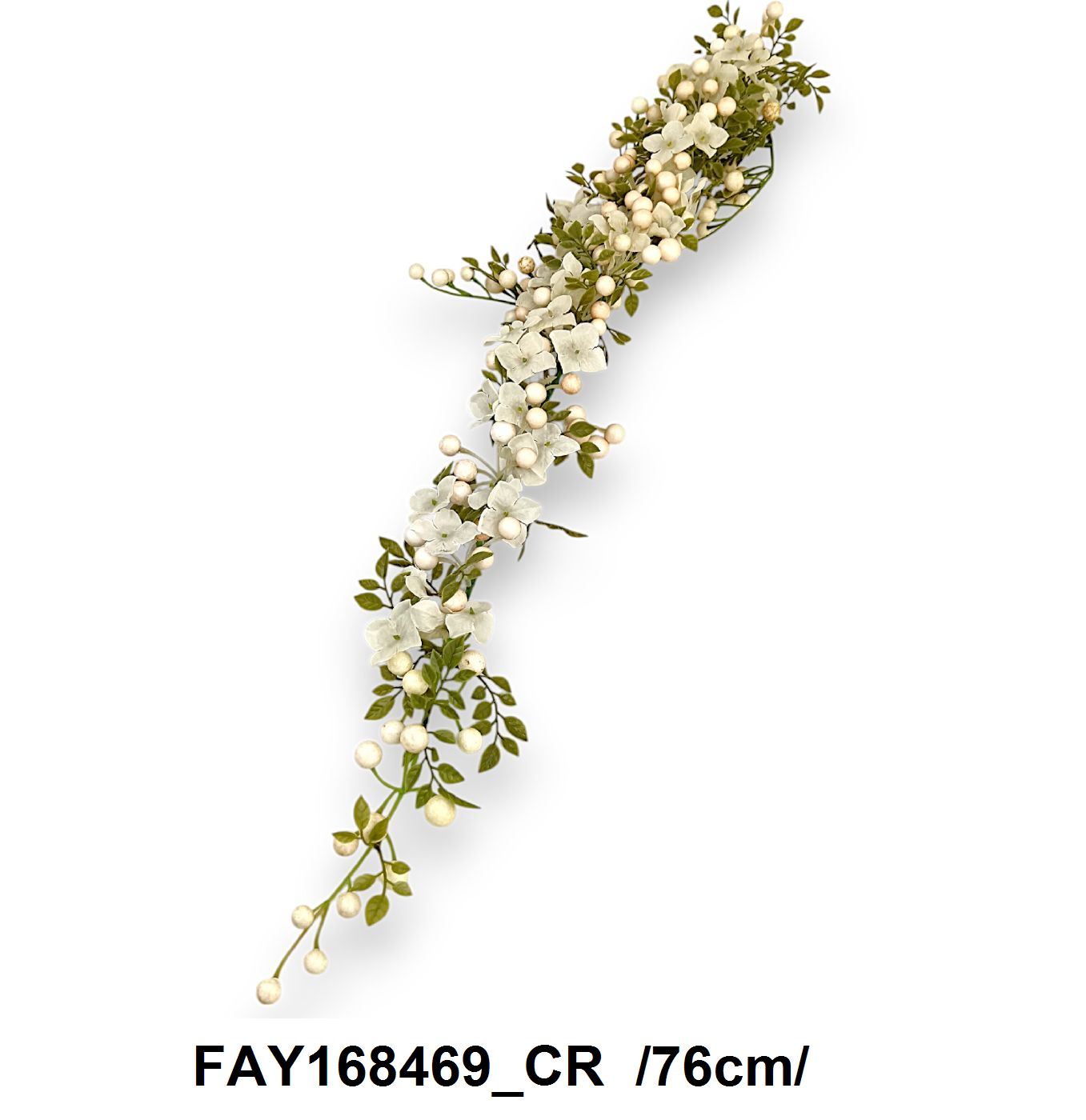 FAY168469_CR
