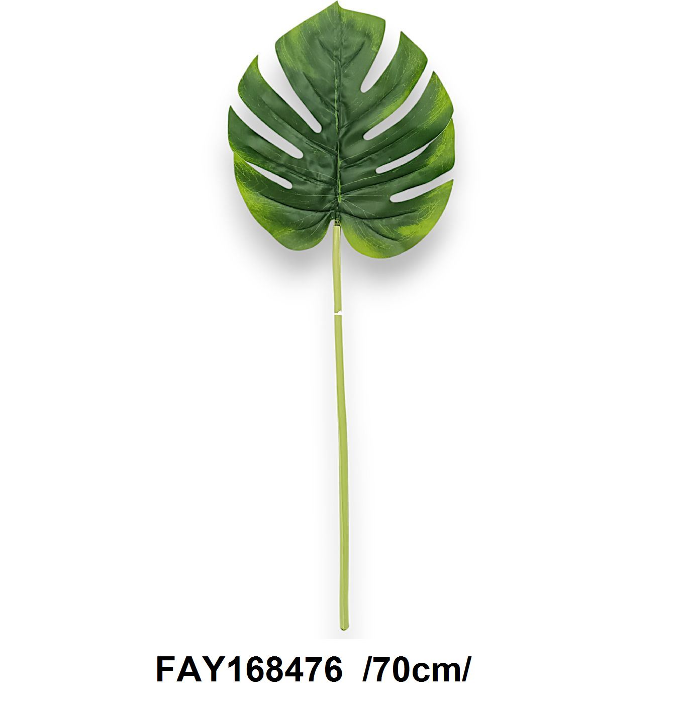 FAY168476