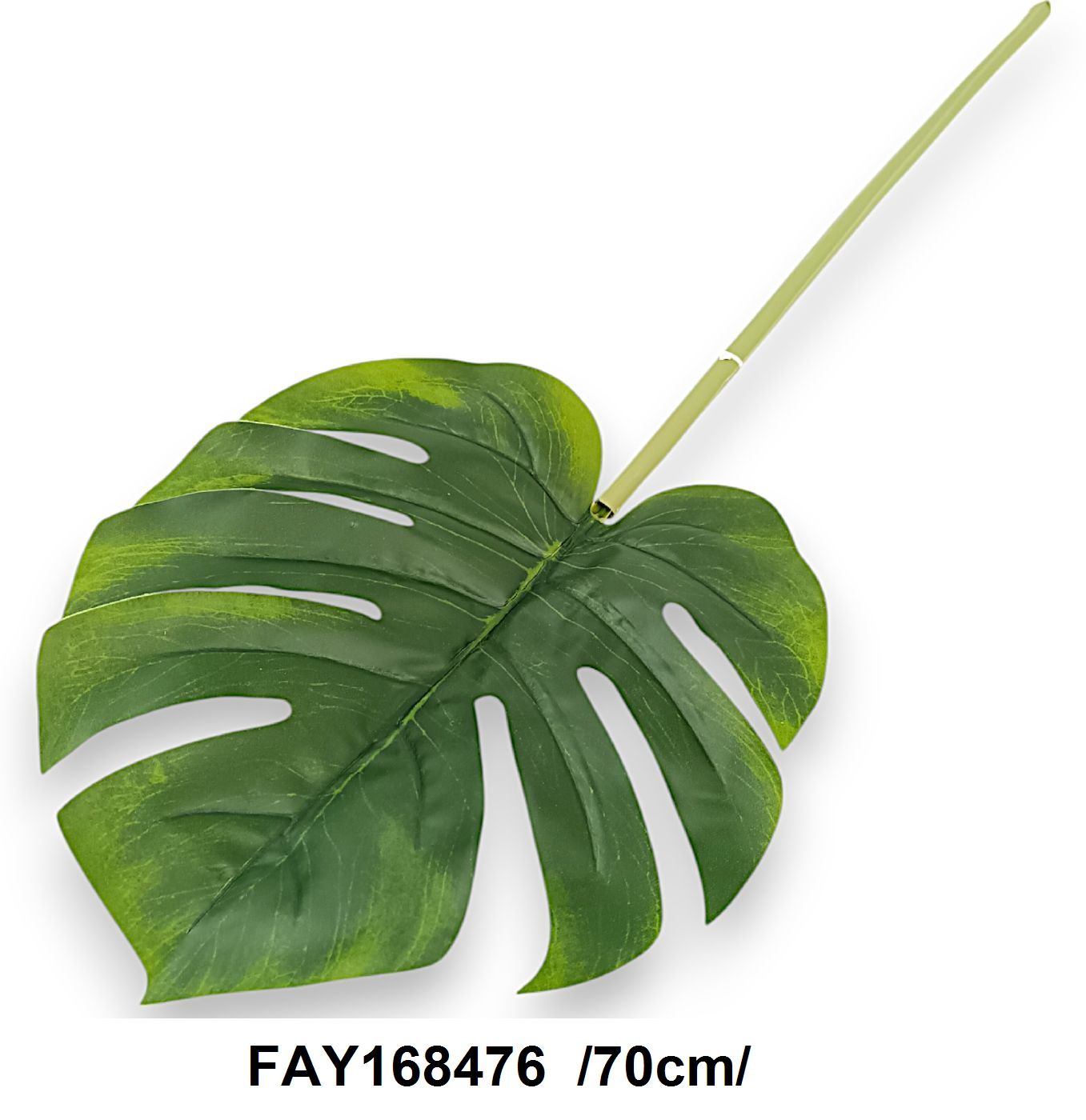 FAY168476