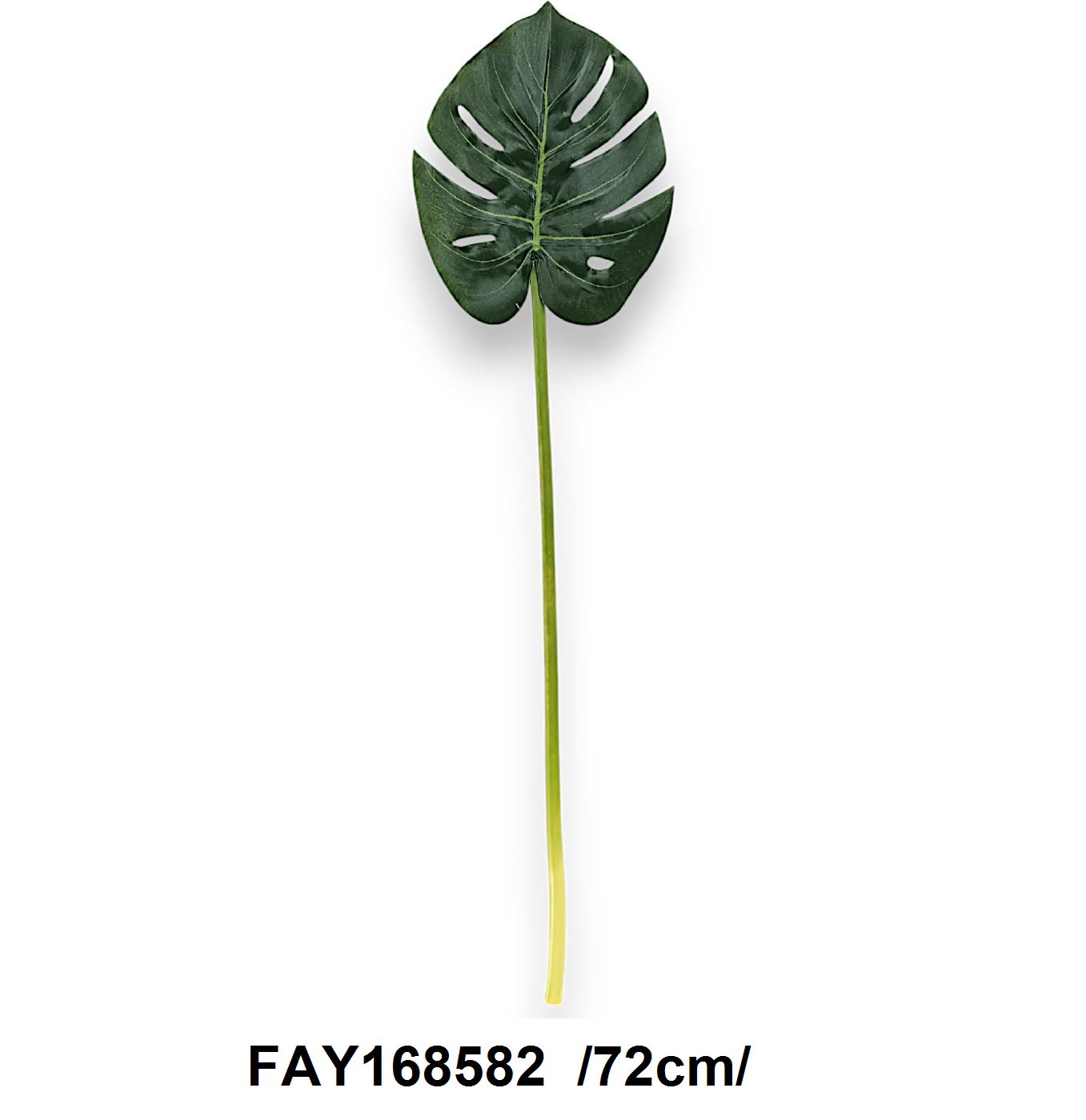 FAY168582