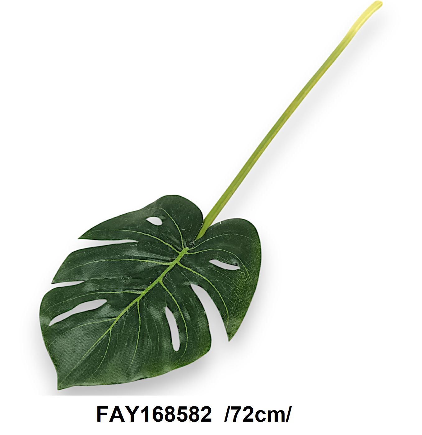 FAY168582