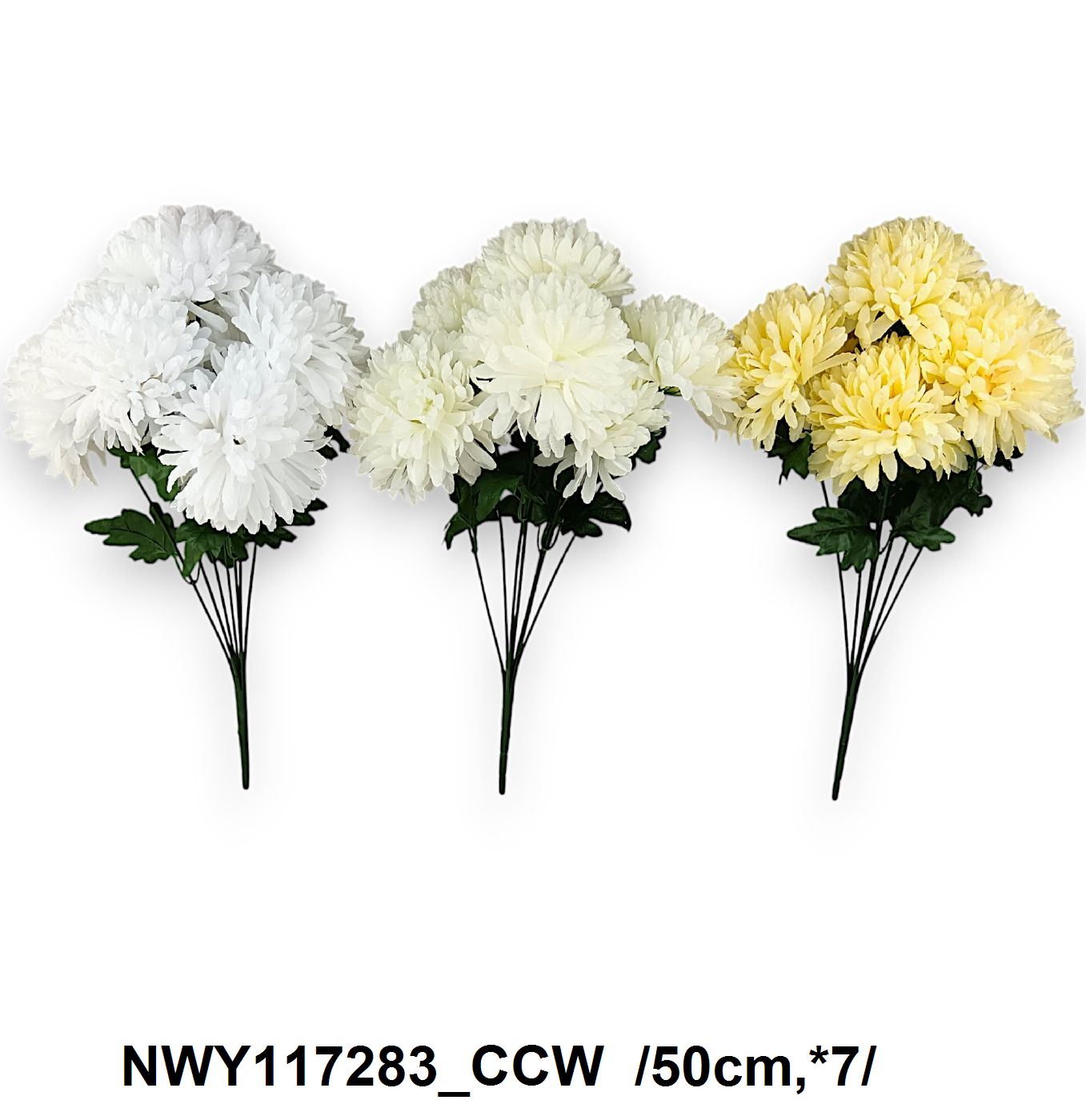 NWY117283_CCW