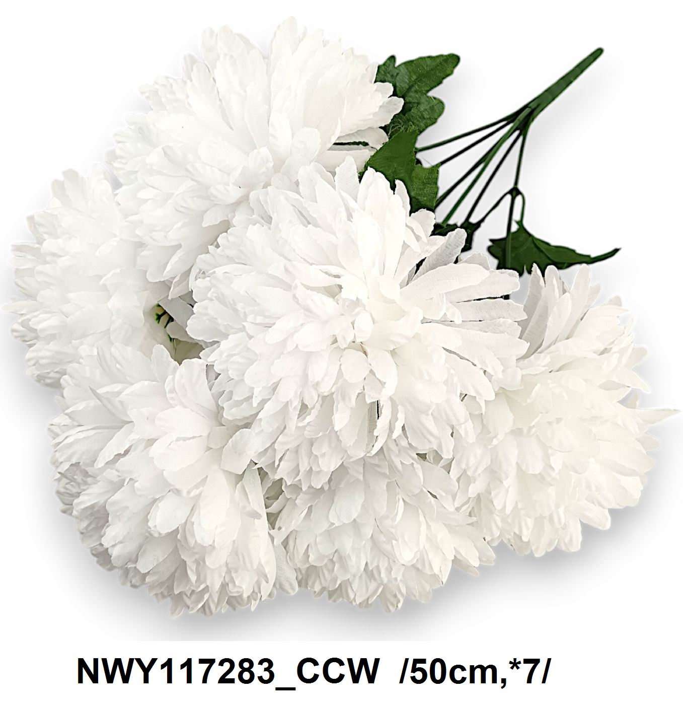 NWY117283_CCW